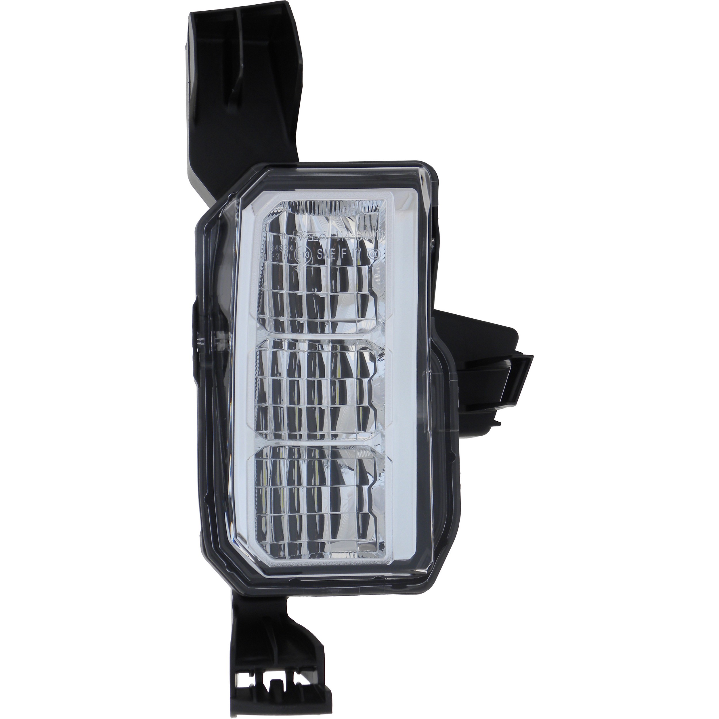Fog Light Assembly