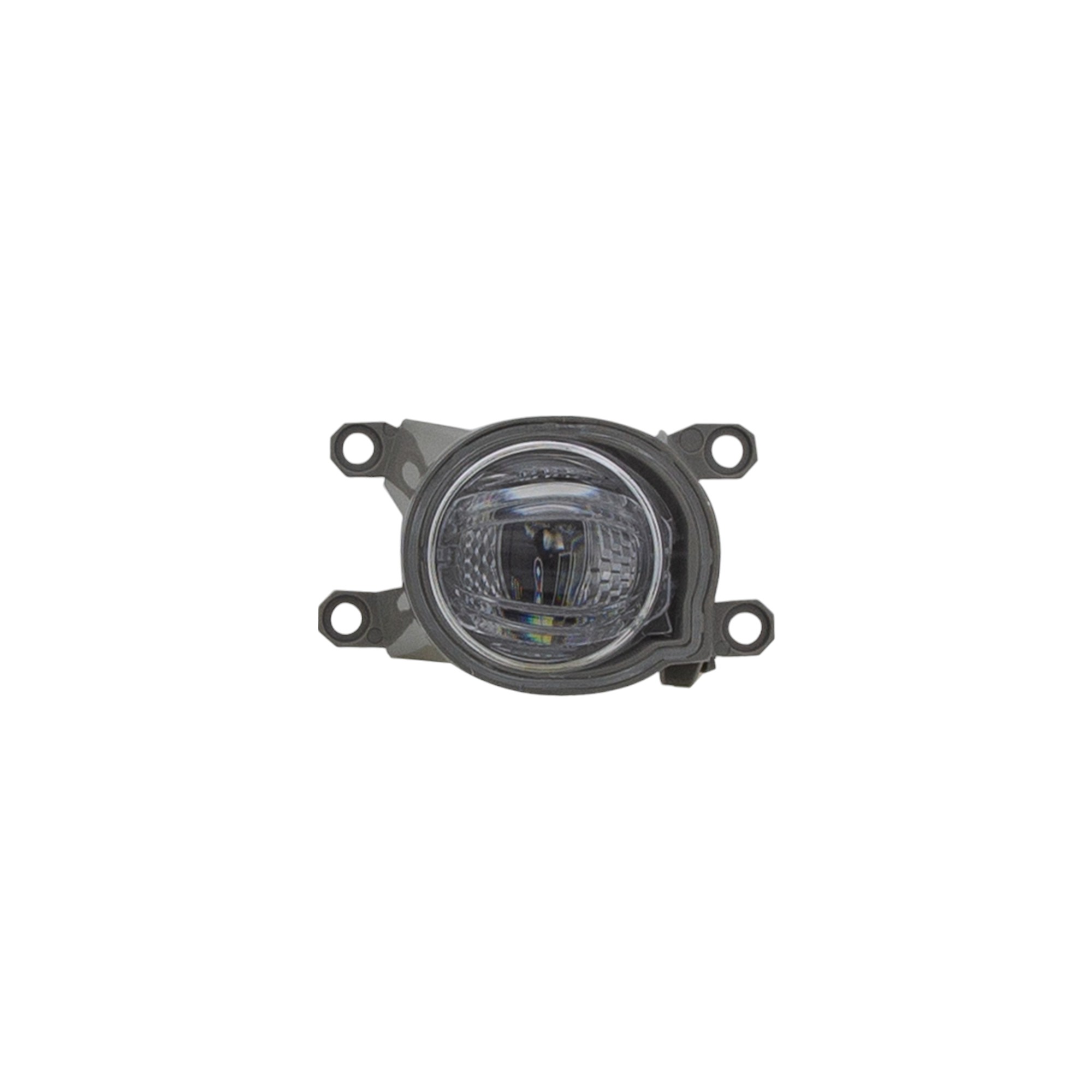 Fog Light Assembly