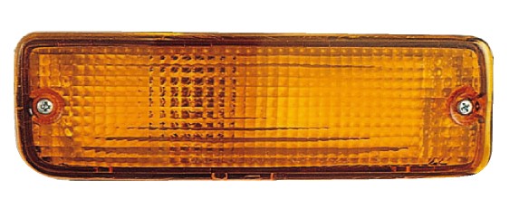 Turn Signal Light