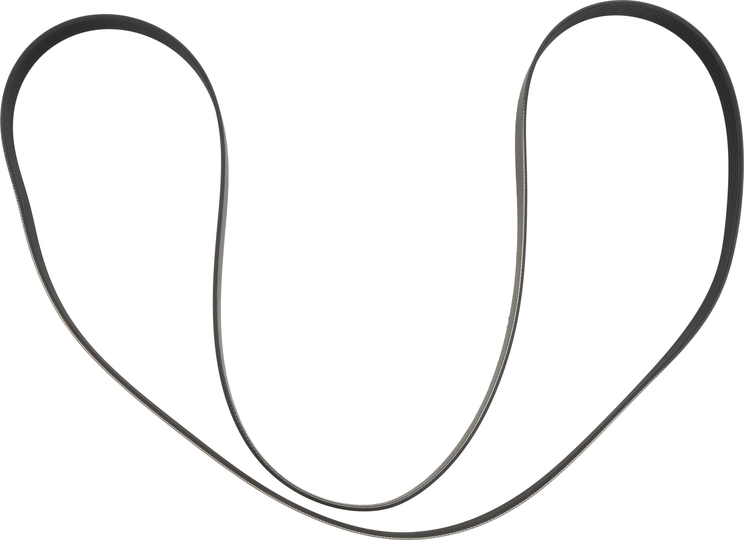 BELT-MULTI RIB