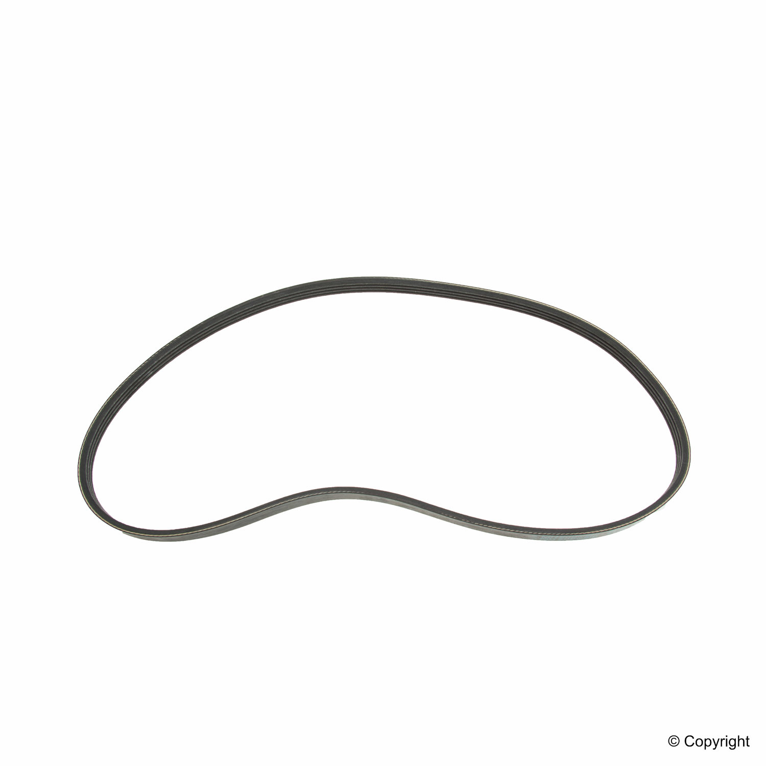 BELT-MULTI RIB