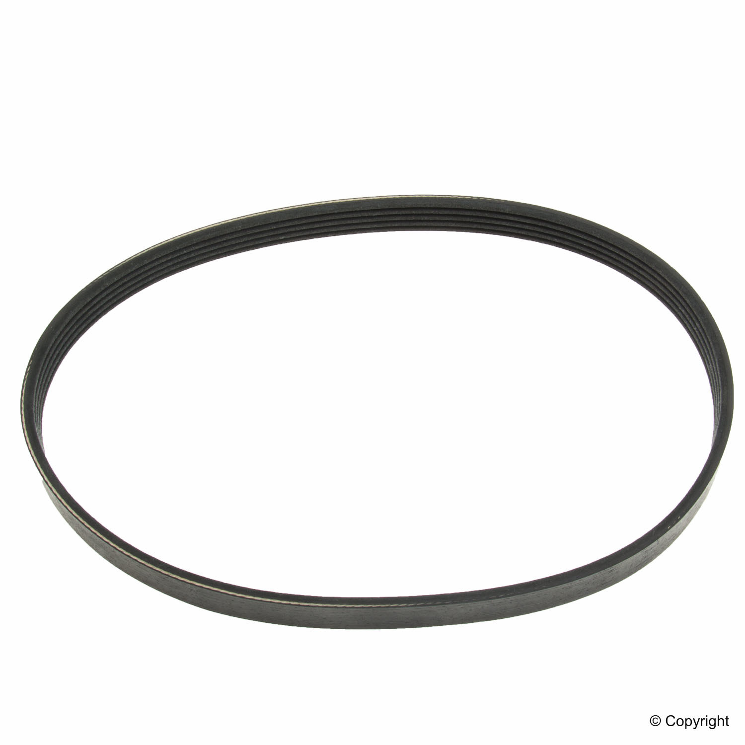 BELT-MULTI RIB
