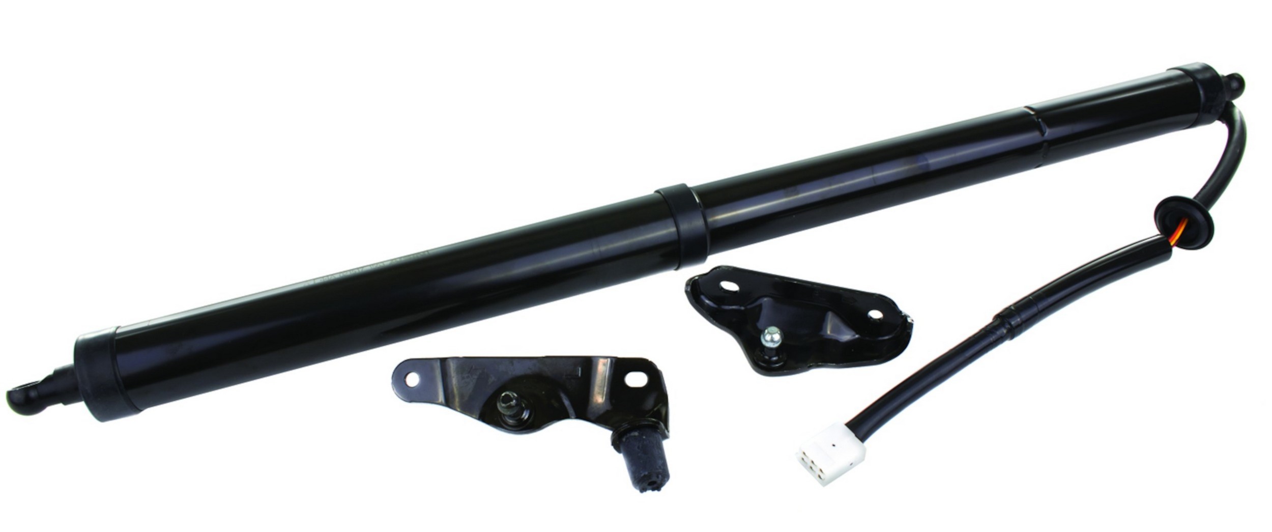 Power Back Door Lift Strut Assembly
