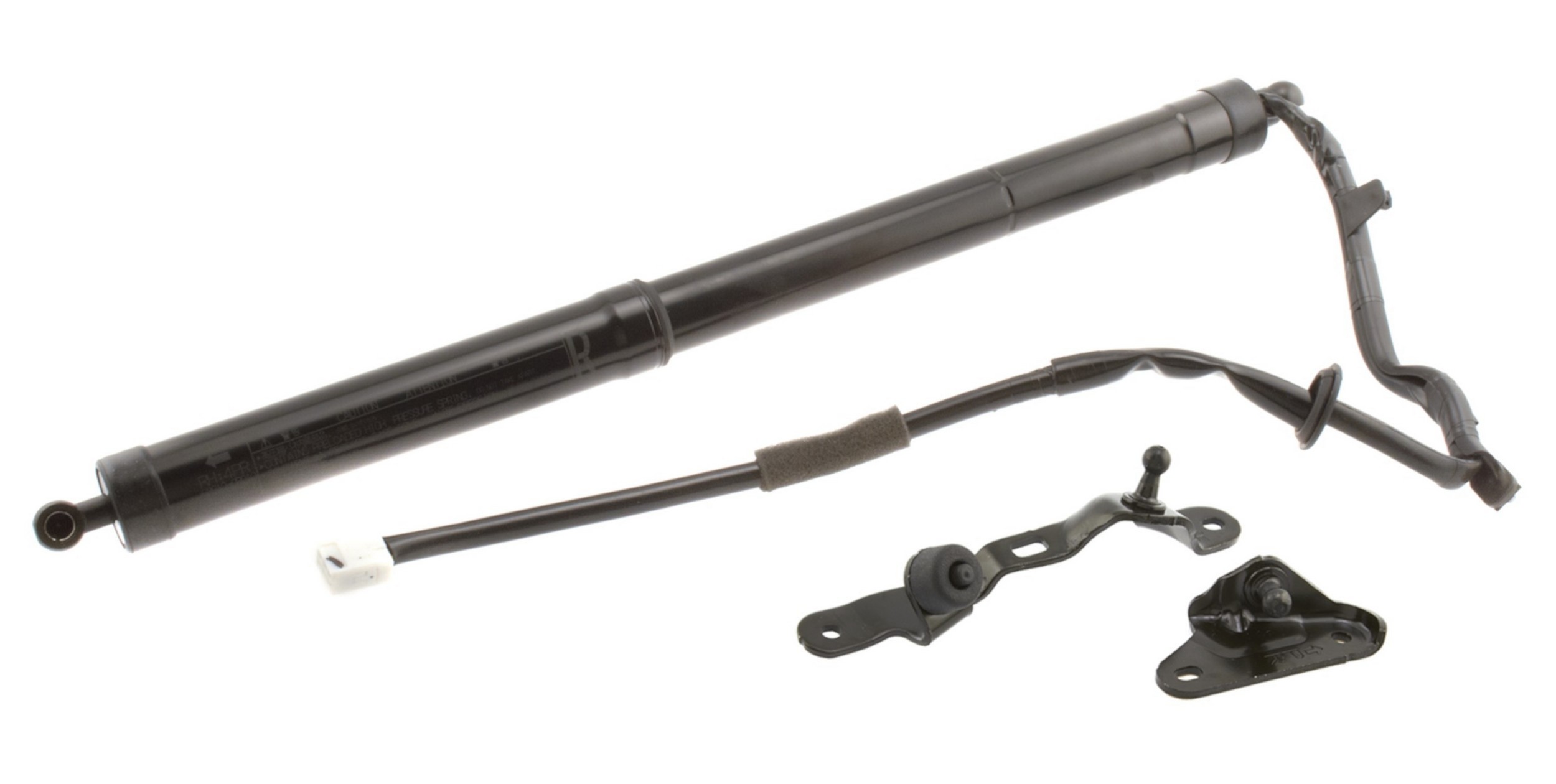 Power Back Door Lift Strut Assembly