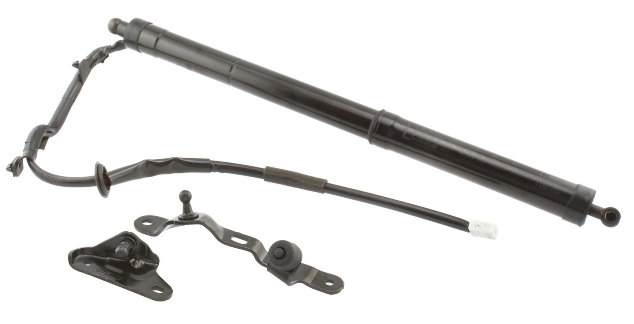 Power Back Door Lift Strut Assembly