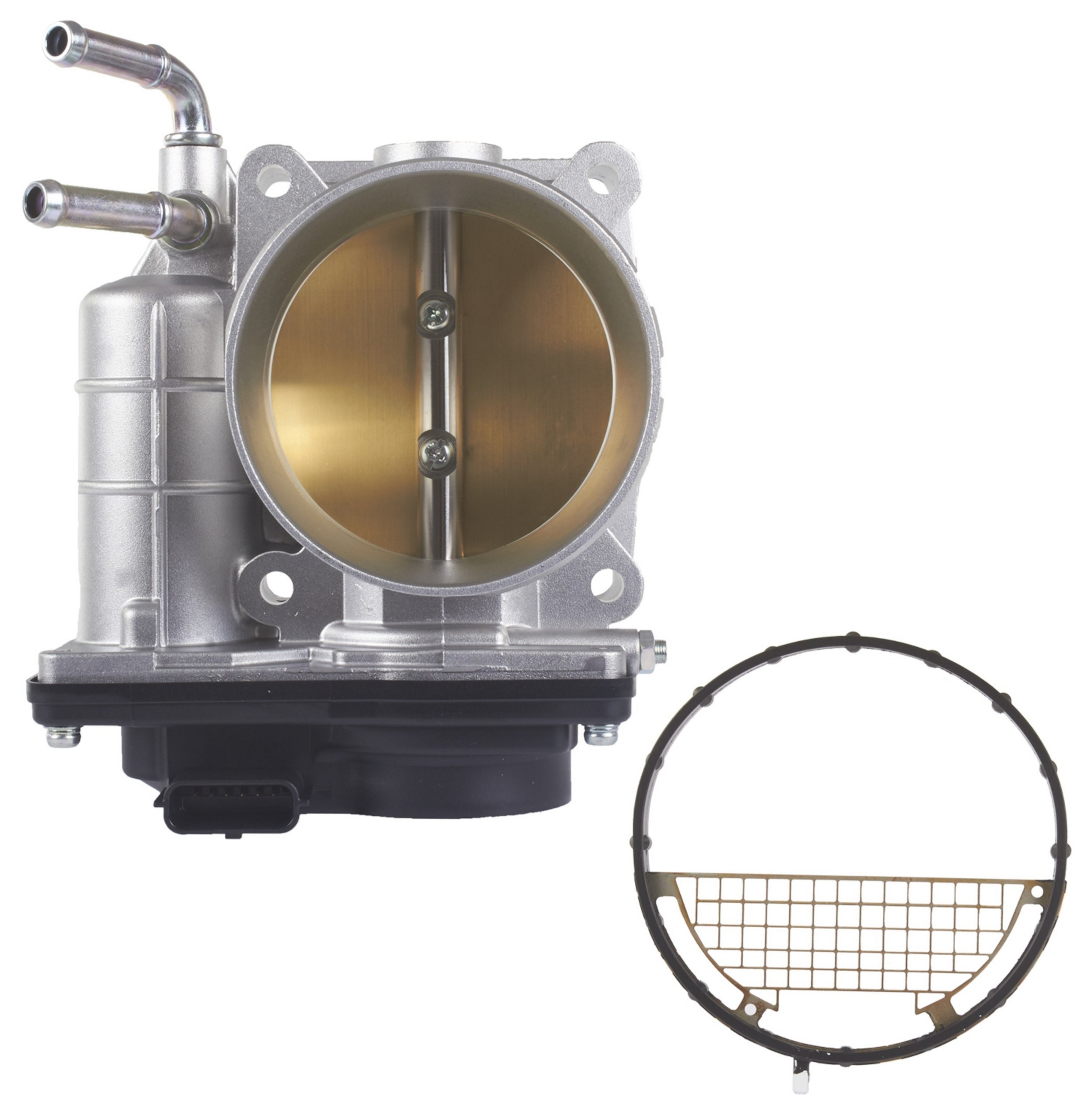 Fuel Injection Throttle Body Assembly