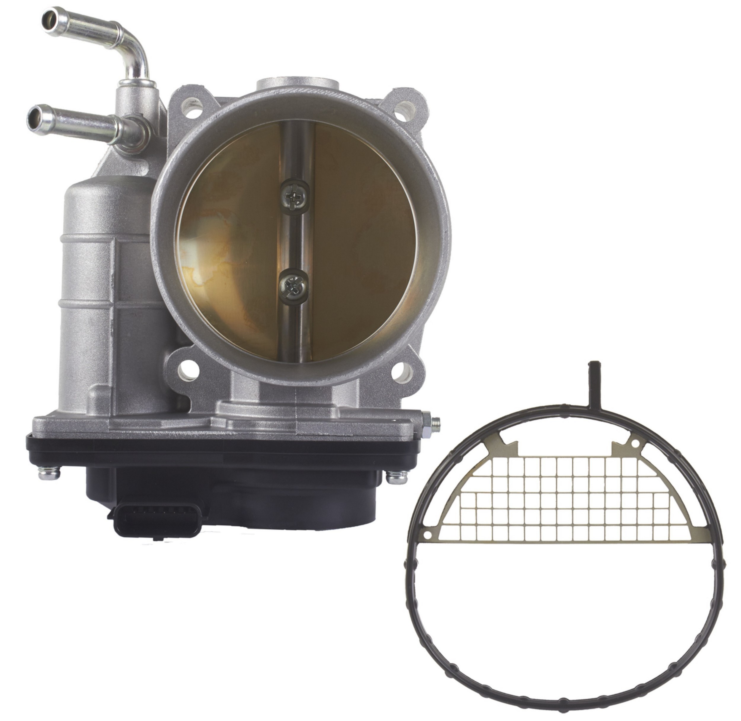 Fuel Injection Throttle Body Assembly