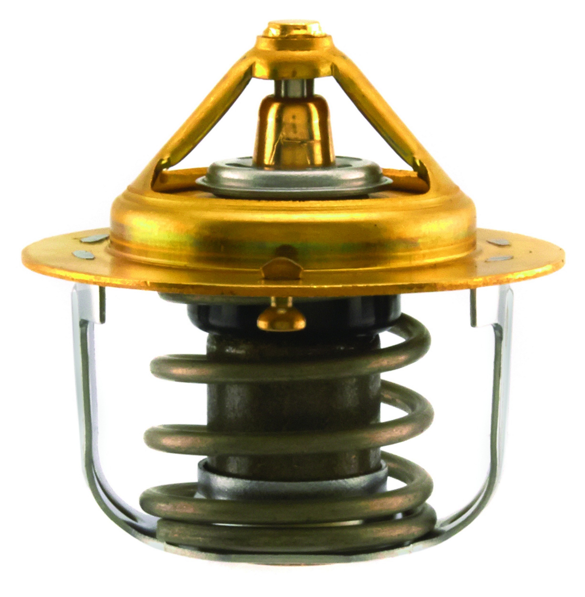 Engine Coolant Thermostat Assembly