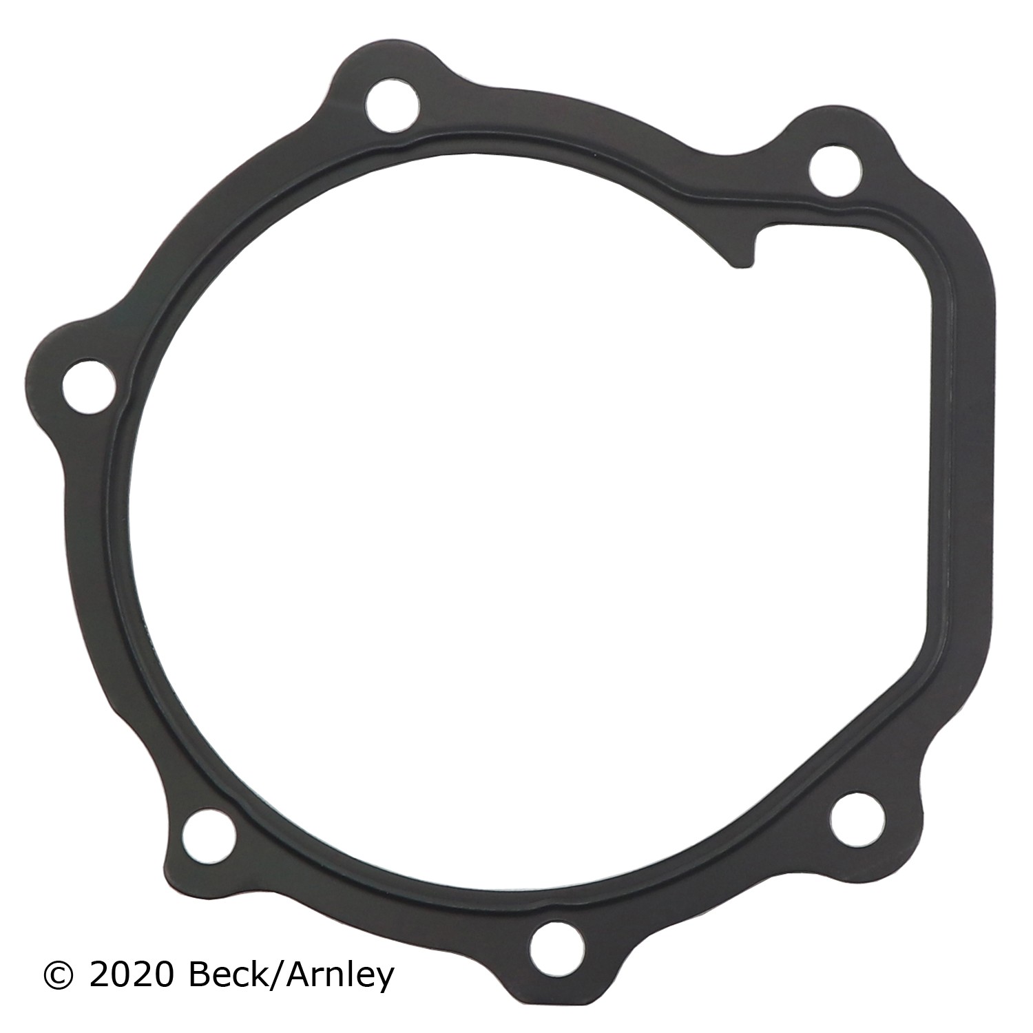WATER PUMP GASKET