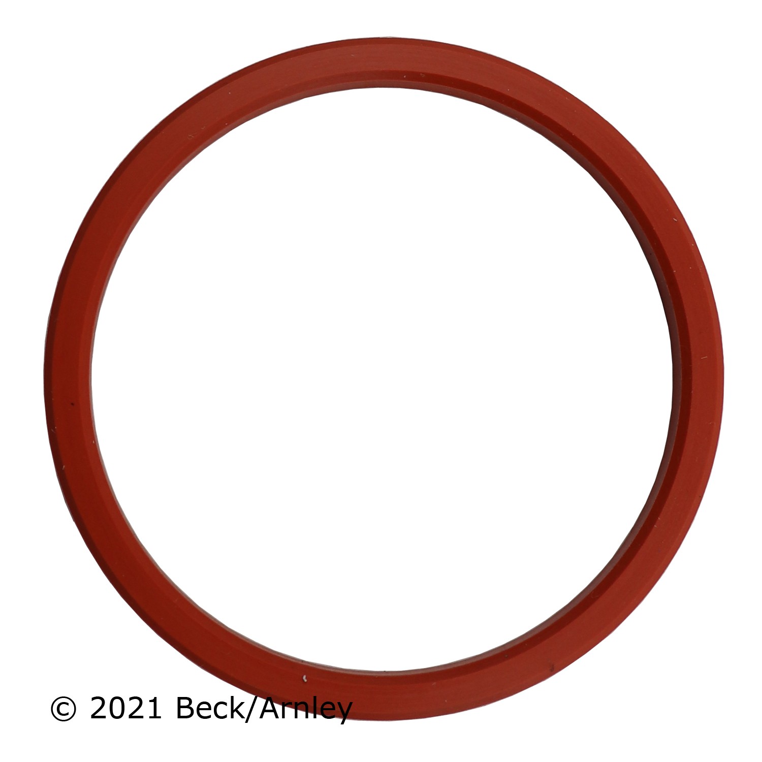 OIL COOLER SEAL