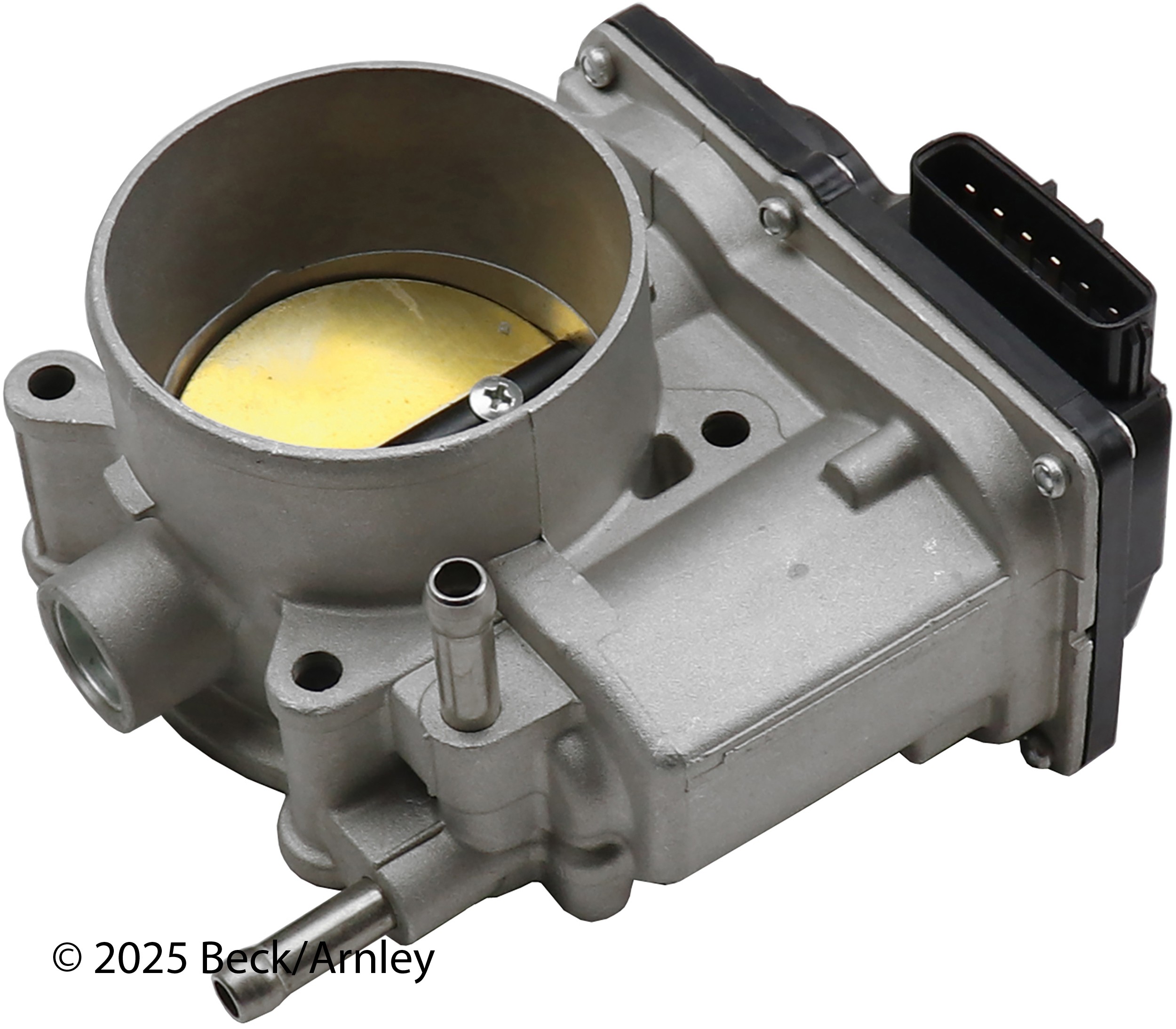 THROTTLE BODY