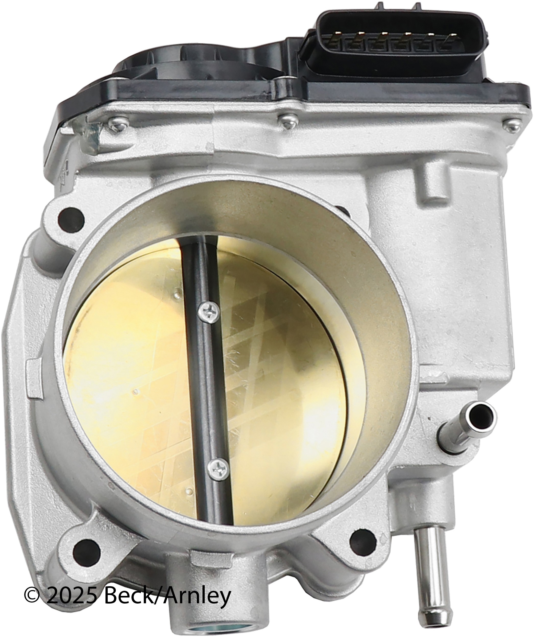 THROTTLE BODY