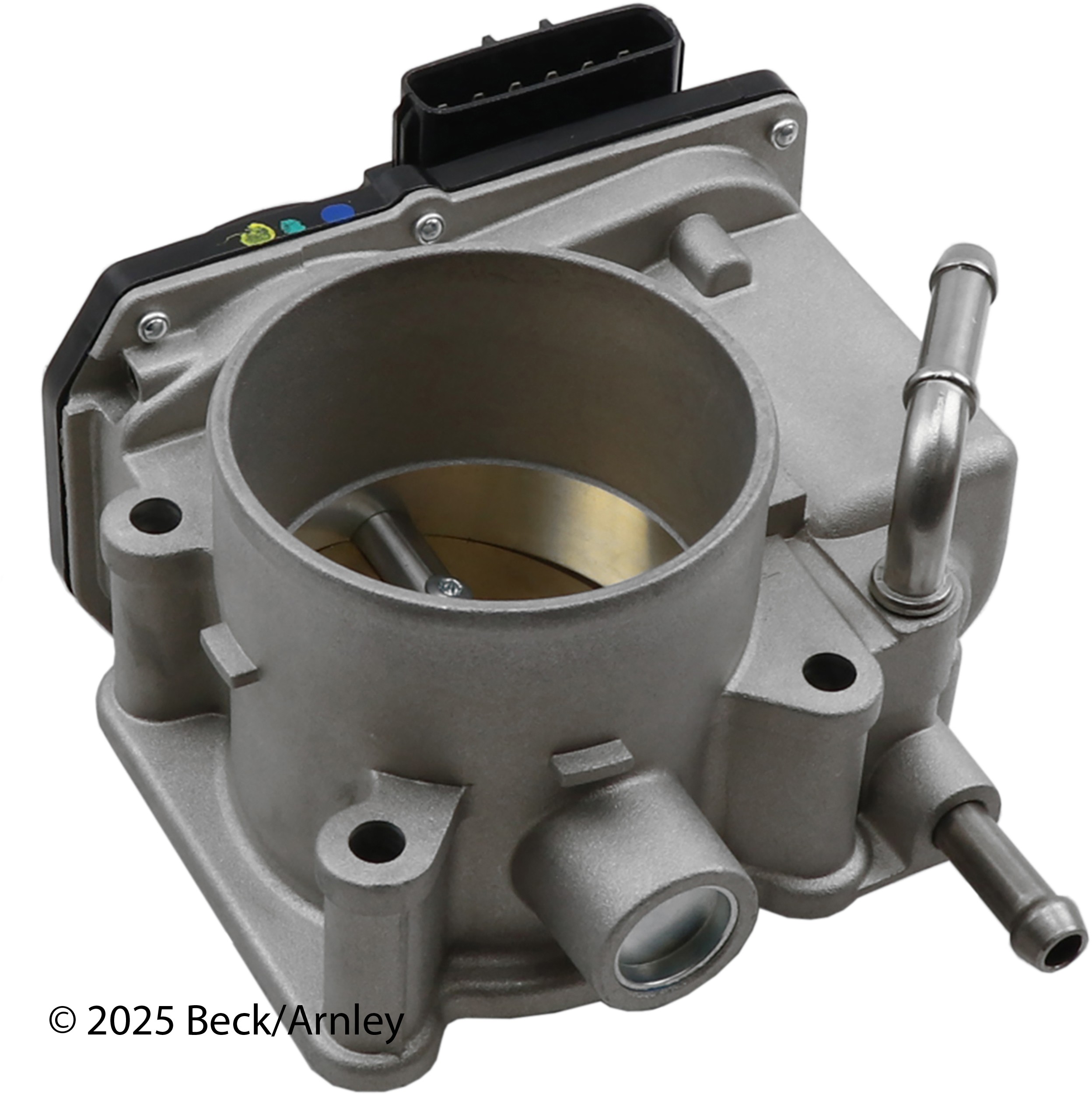 THROTTLE BODY