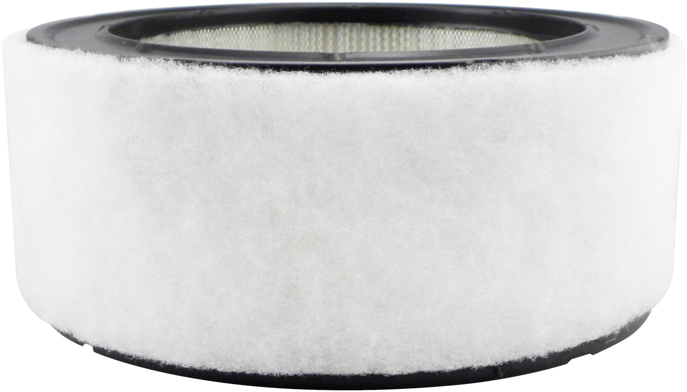 Air Element with Foam Wrap