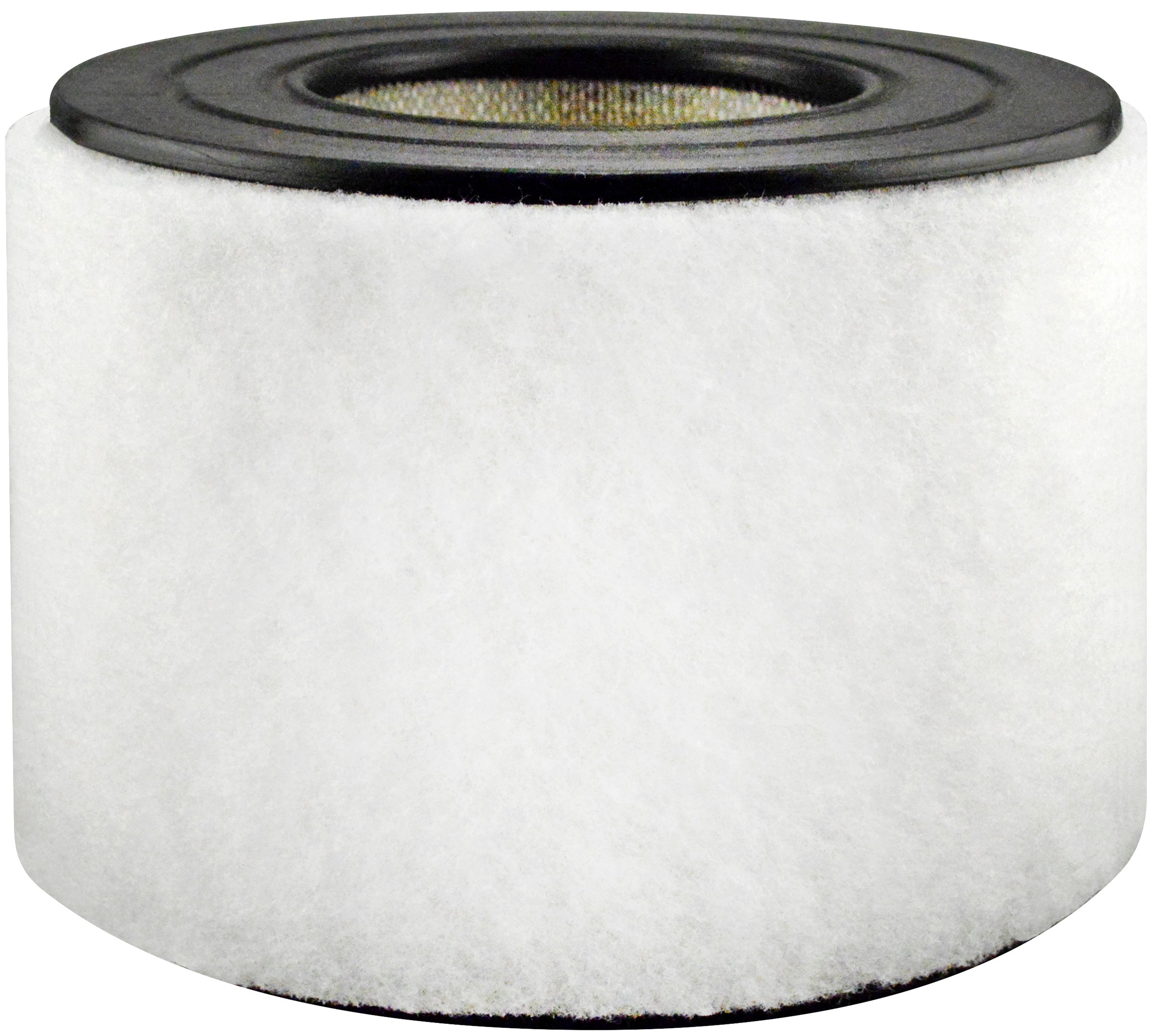 Air Element with Foam Wrap