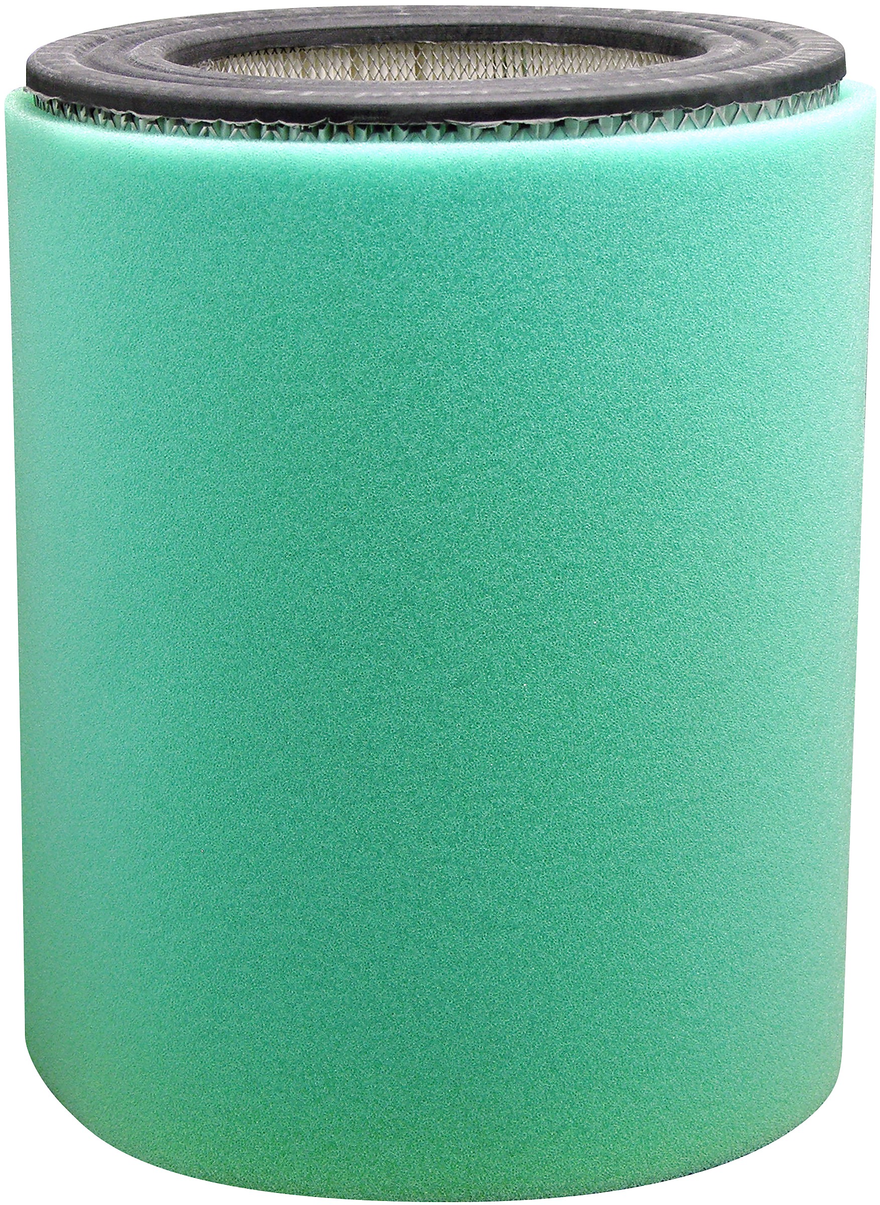 Air Element with Foam Wrap