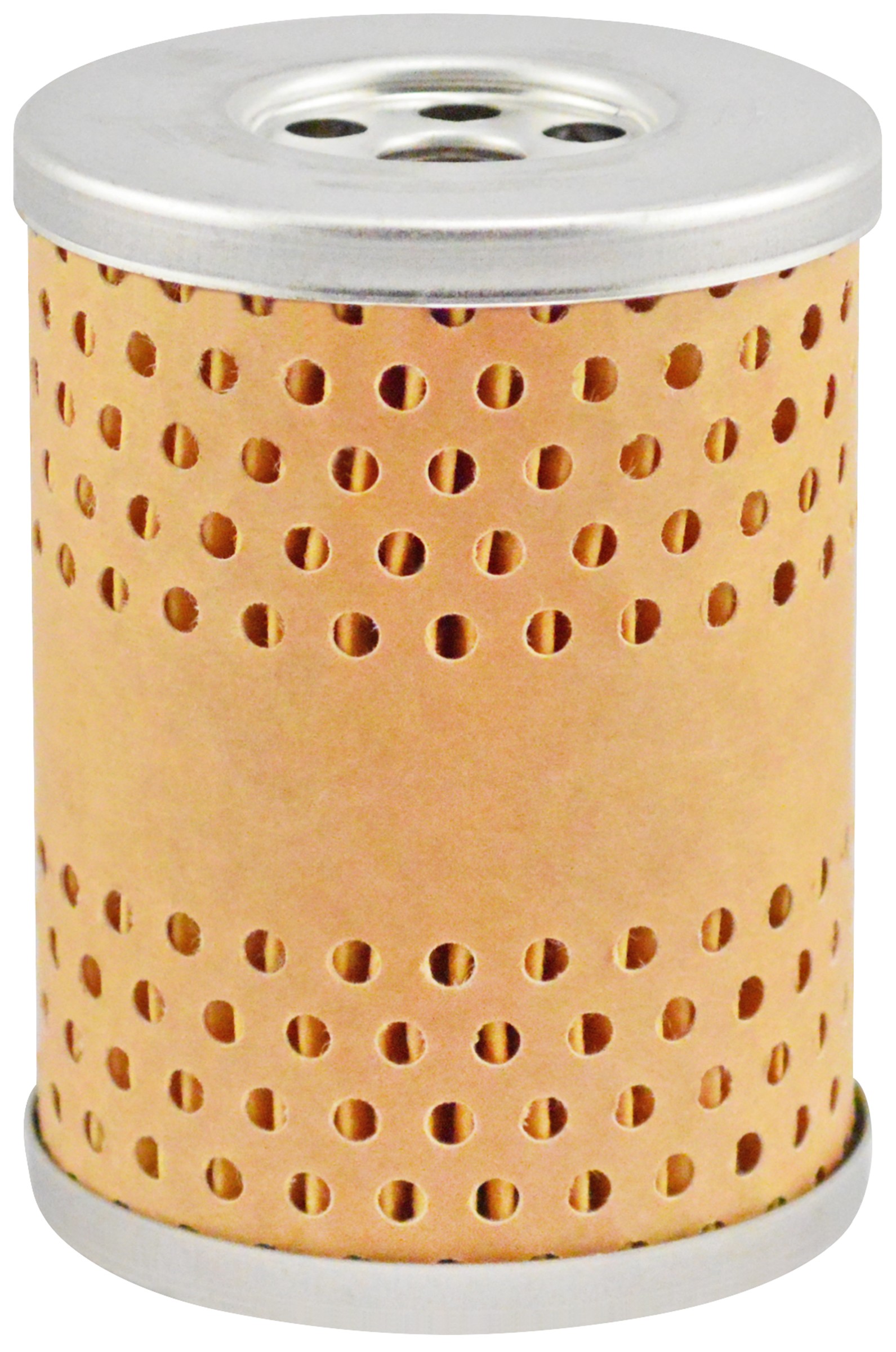 Primary Fuel Element