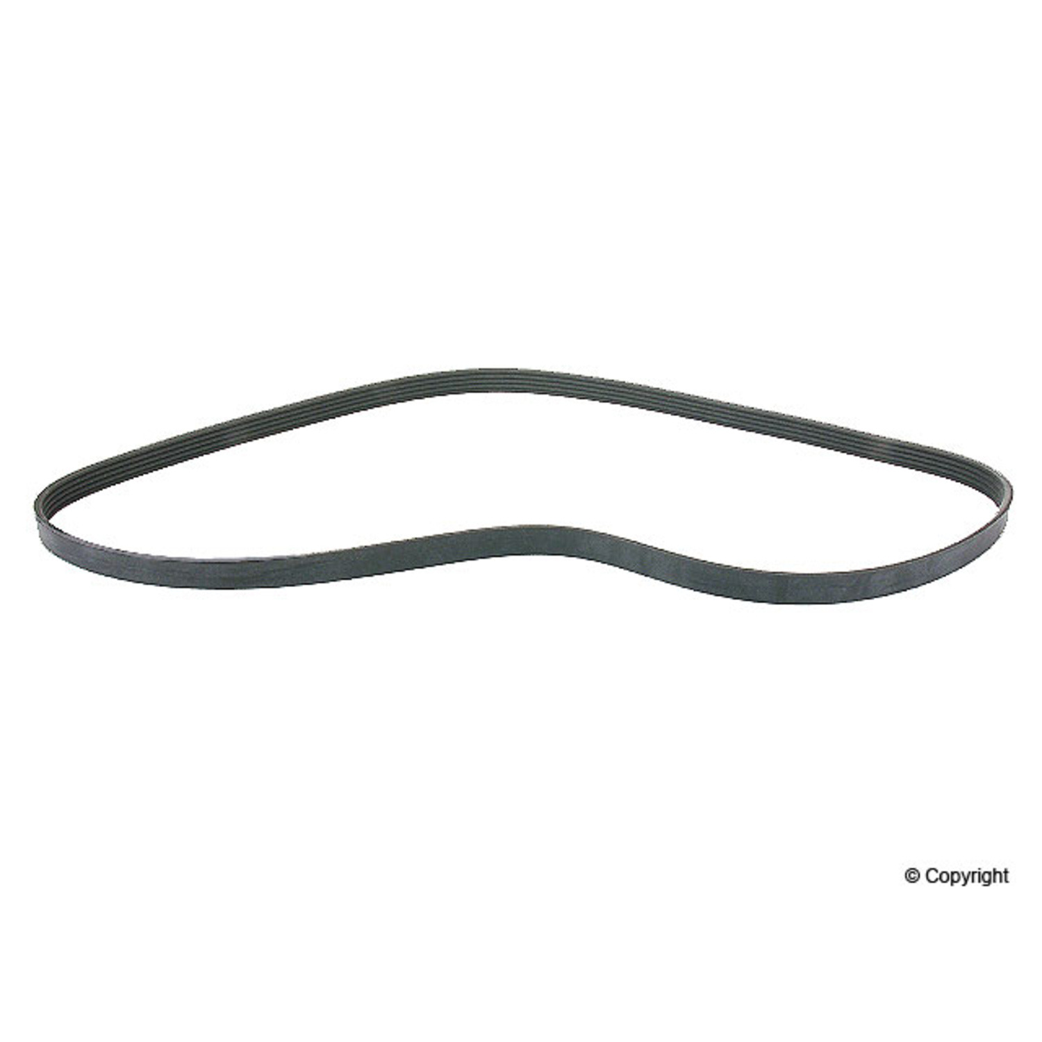 BELT-MULTI RIB
