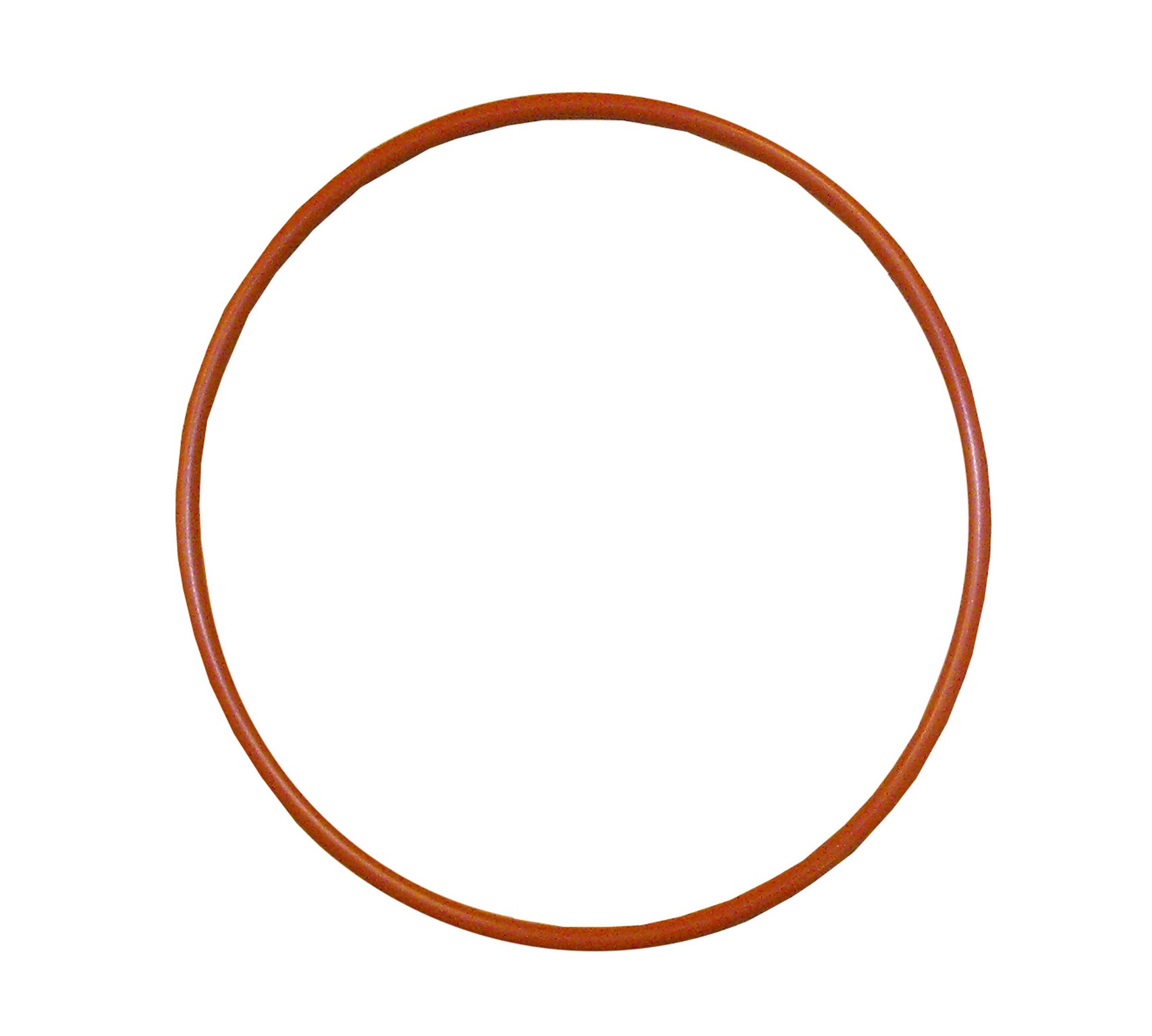 DISTRIBUTOR CAP O-RING