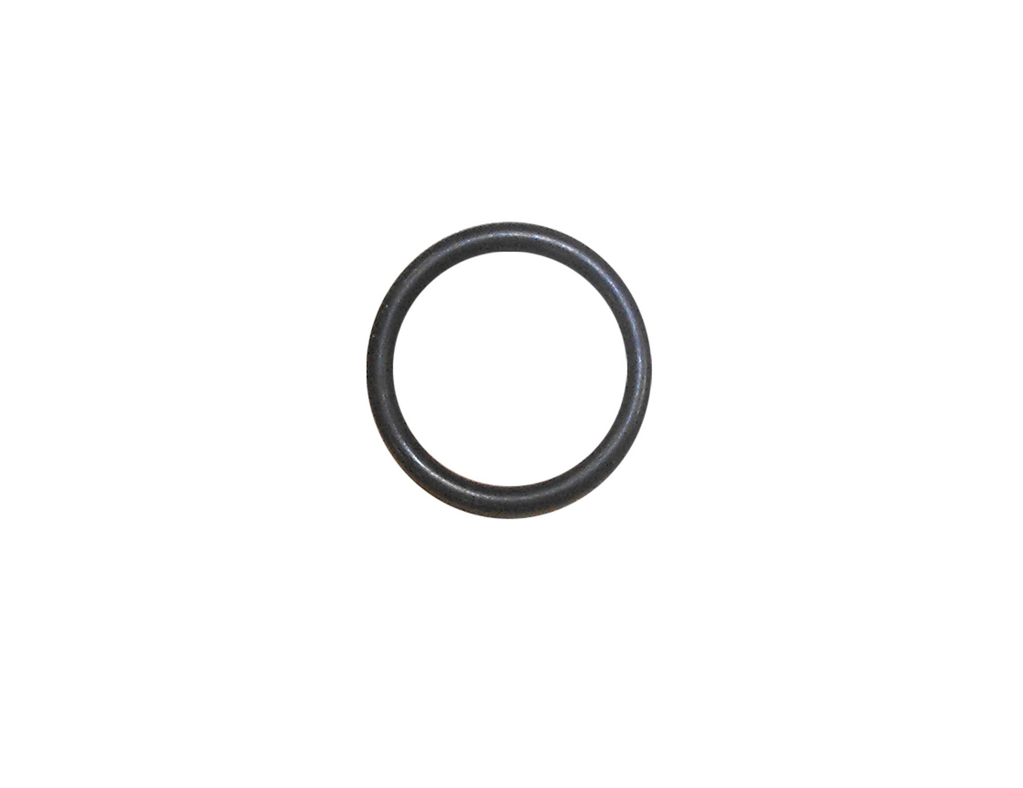 LEVEL SENSOR O-RING