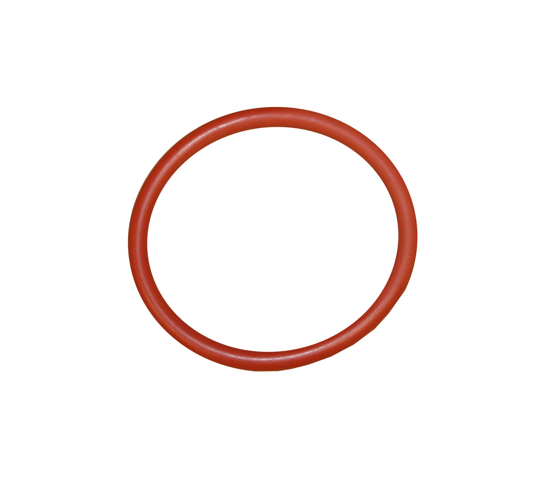 BEARING O-RING