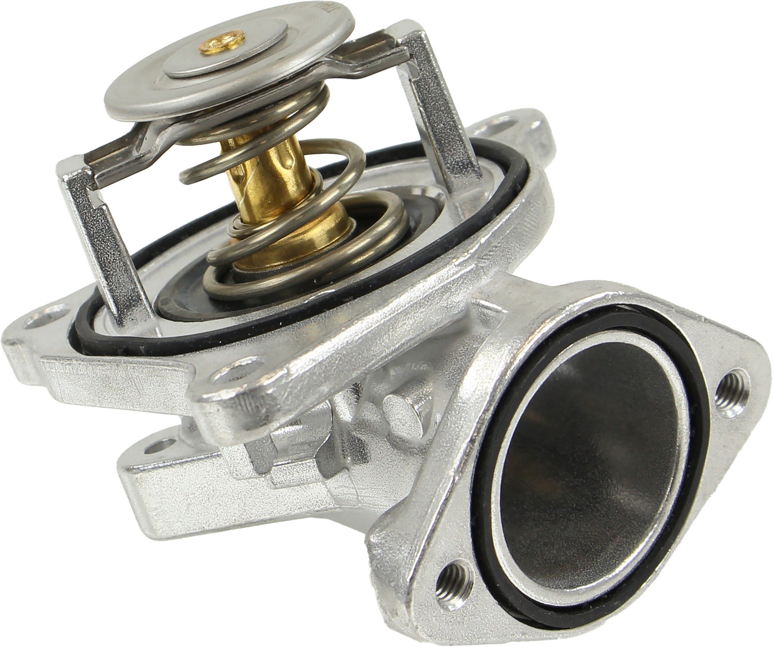 Rein OE Quality Thermostat Insert