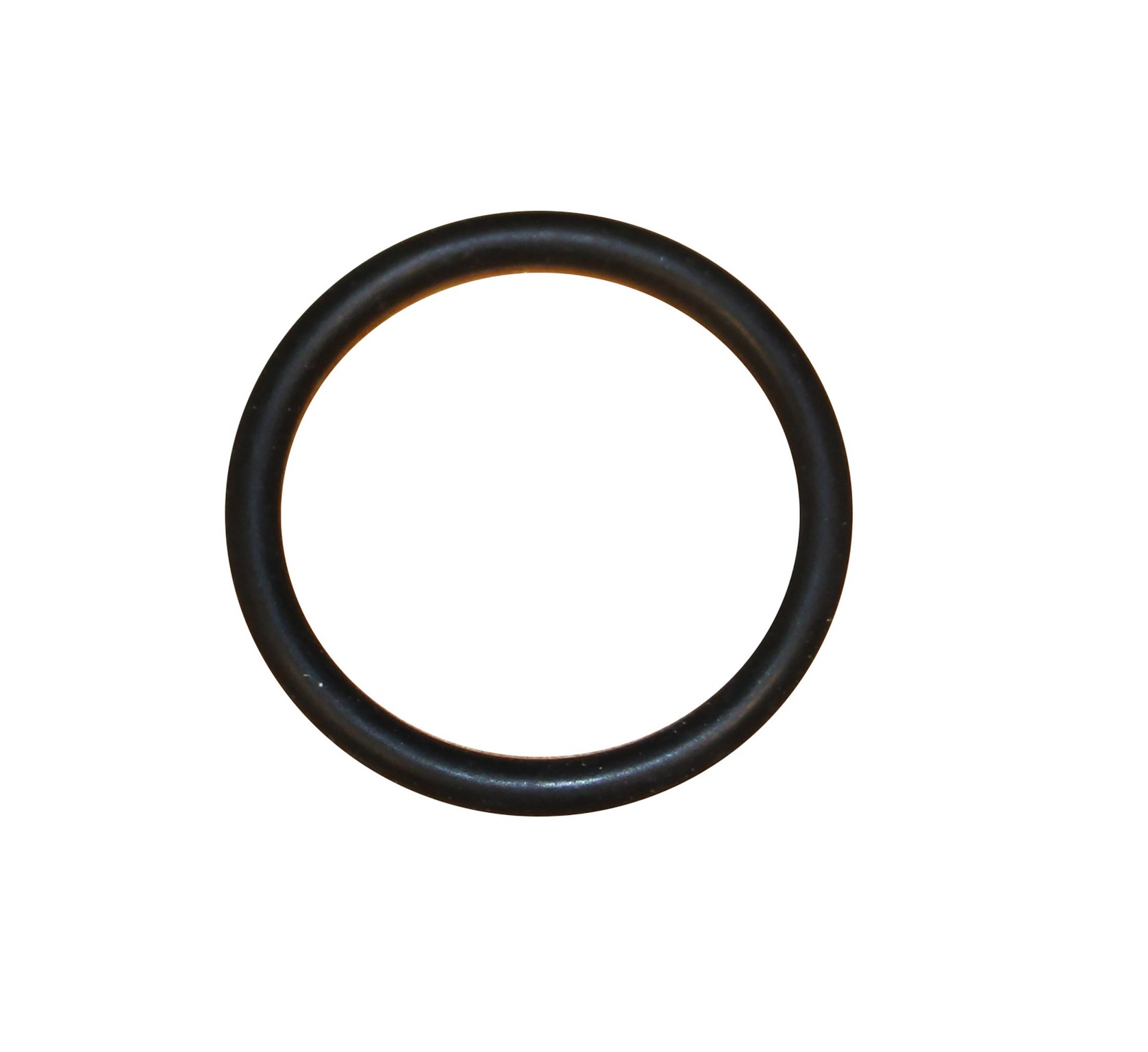 FLANGE O-RING