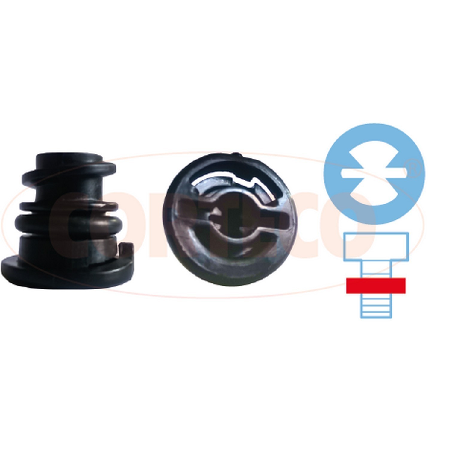 Engine Oil Drain Plug