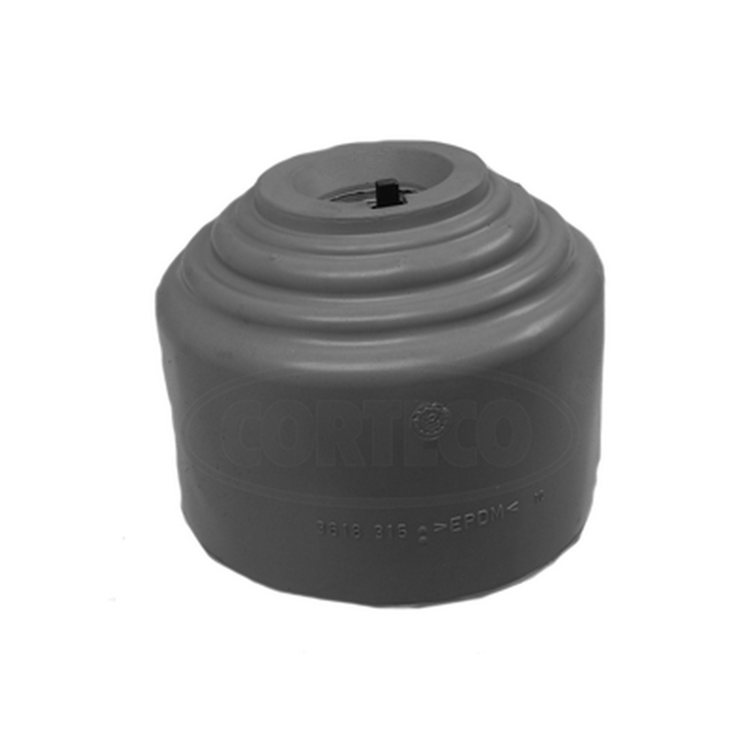 Engine Mount