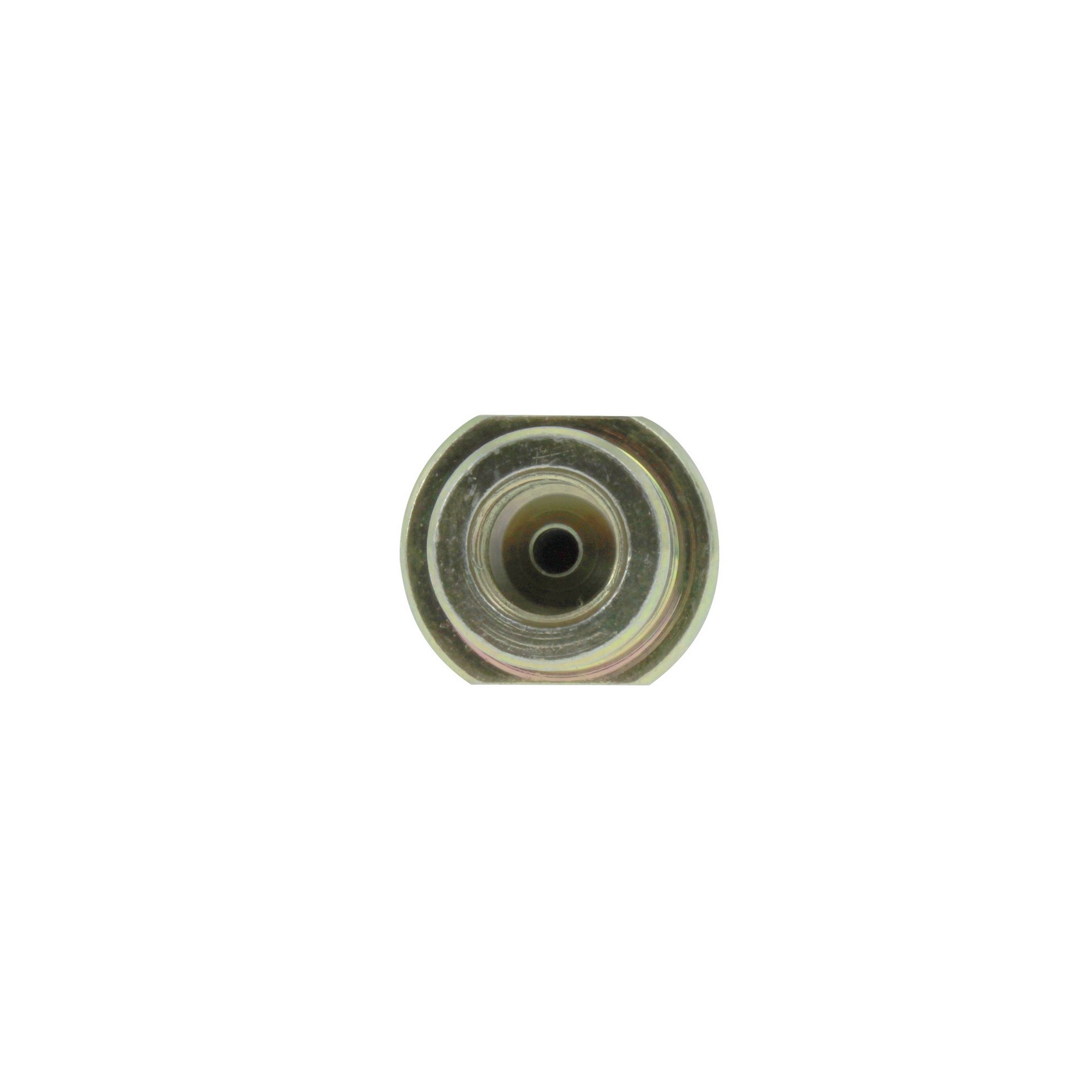 Centric Brake Hose