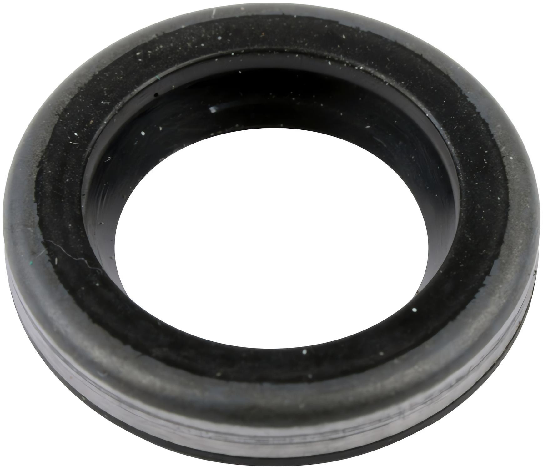 SKF 10181 Seal