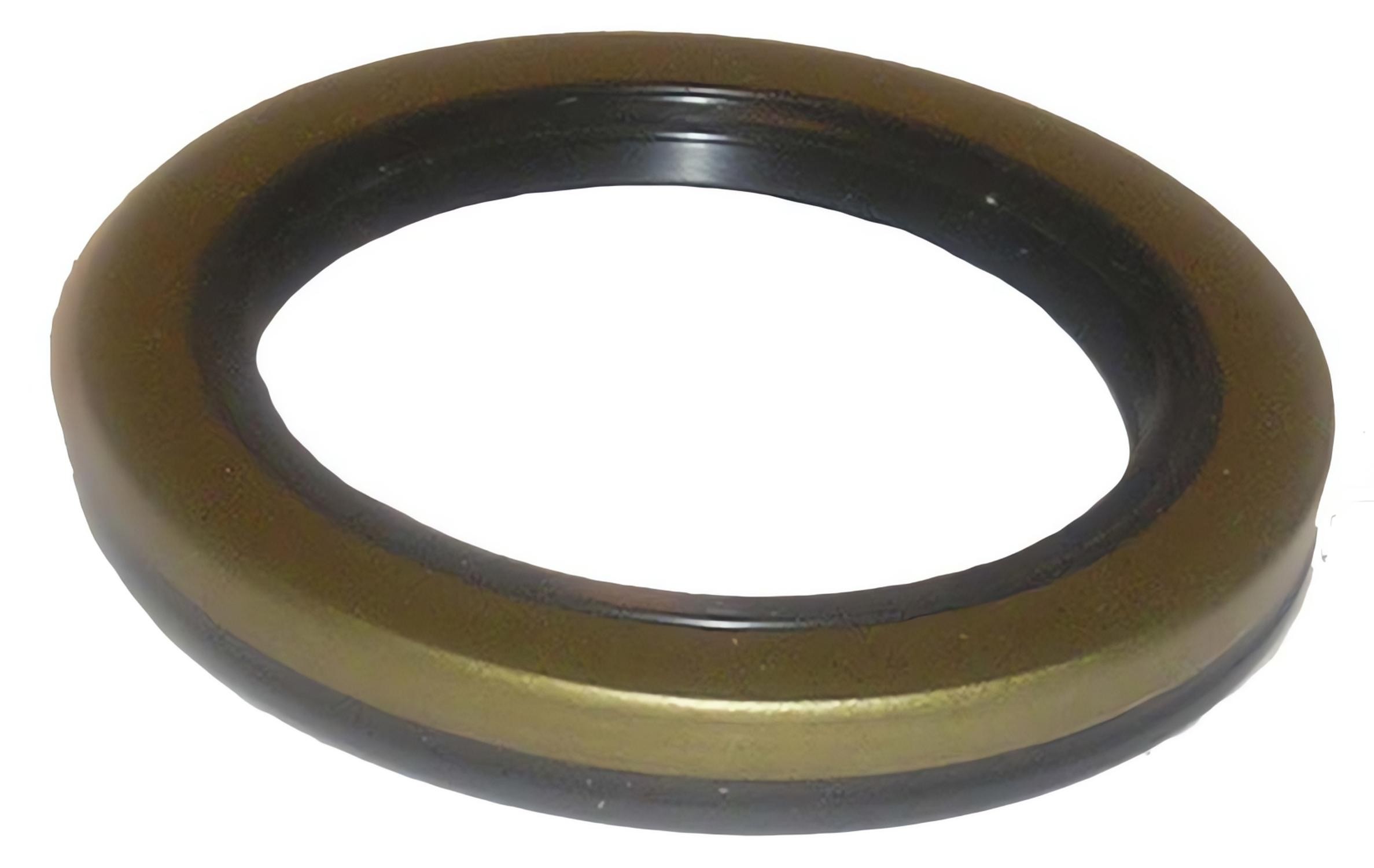 SKF 16548 Seal