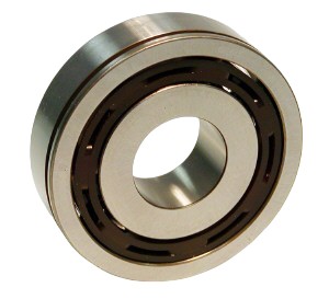 SKF Bearing 6305-NSP19