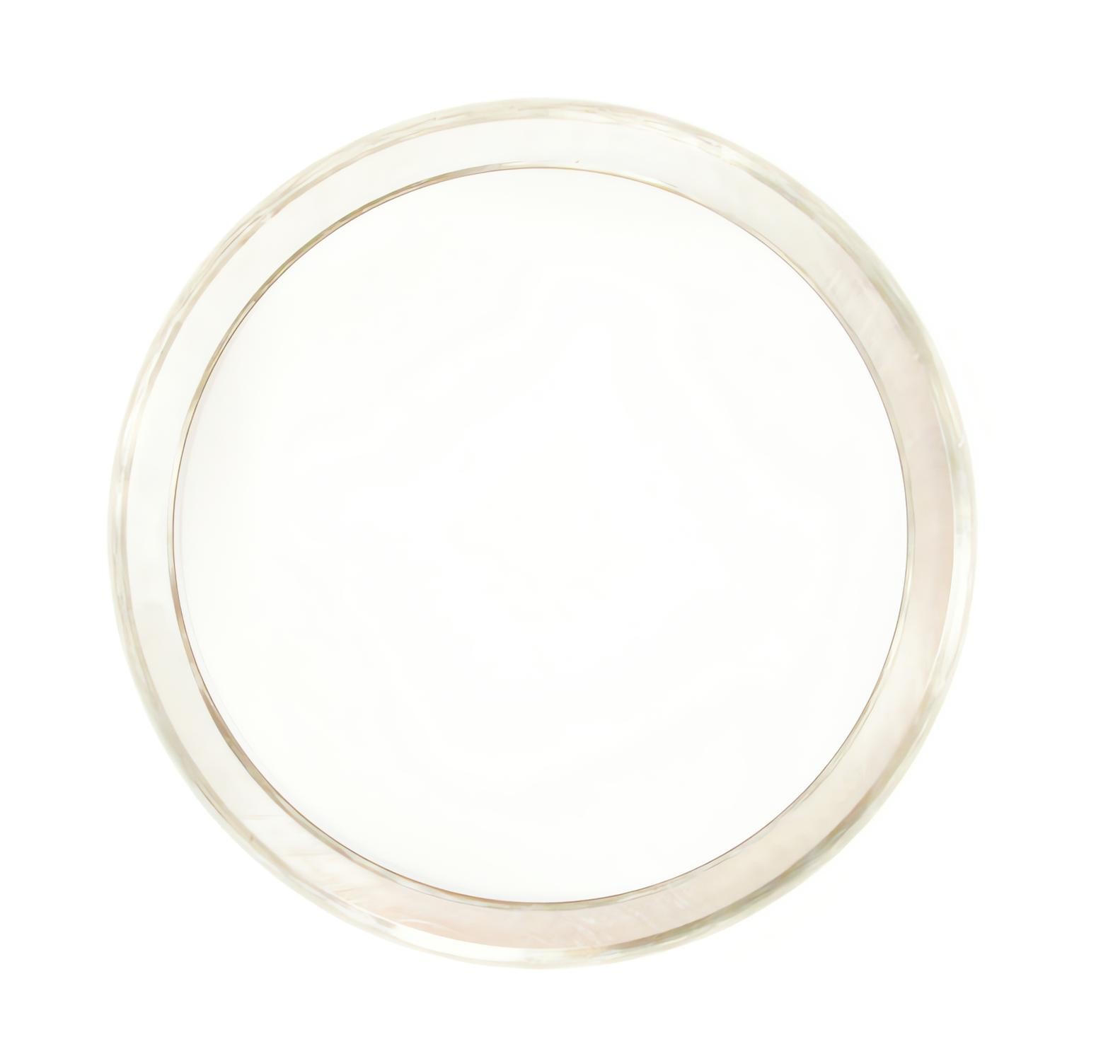 SKF Bearing Race BR3720 For Ford Freightliner International