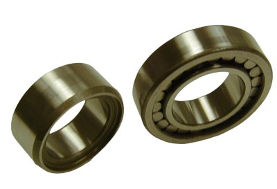 SKF Cylindrical Roller Bearing MU1308-TV