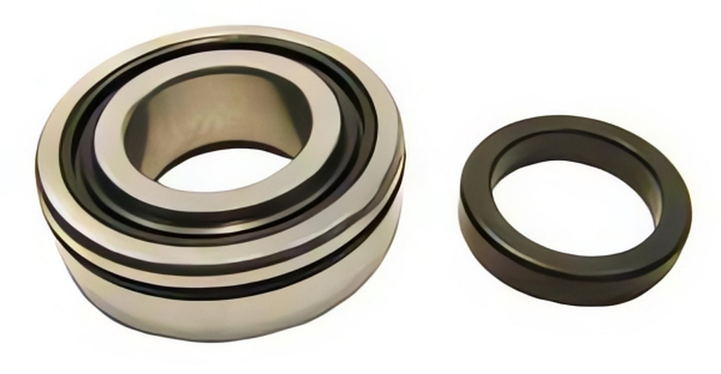 SKF Bearing RW509-FR