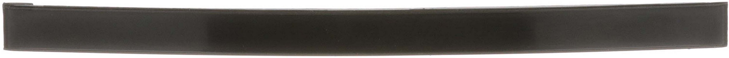 Engine Timing Chain Guide