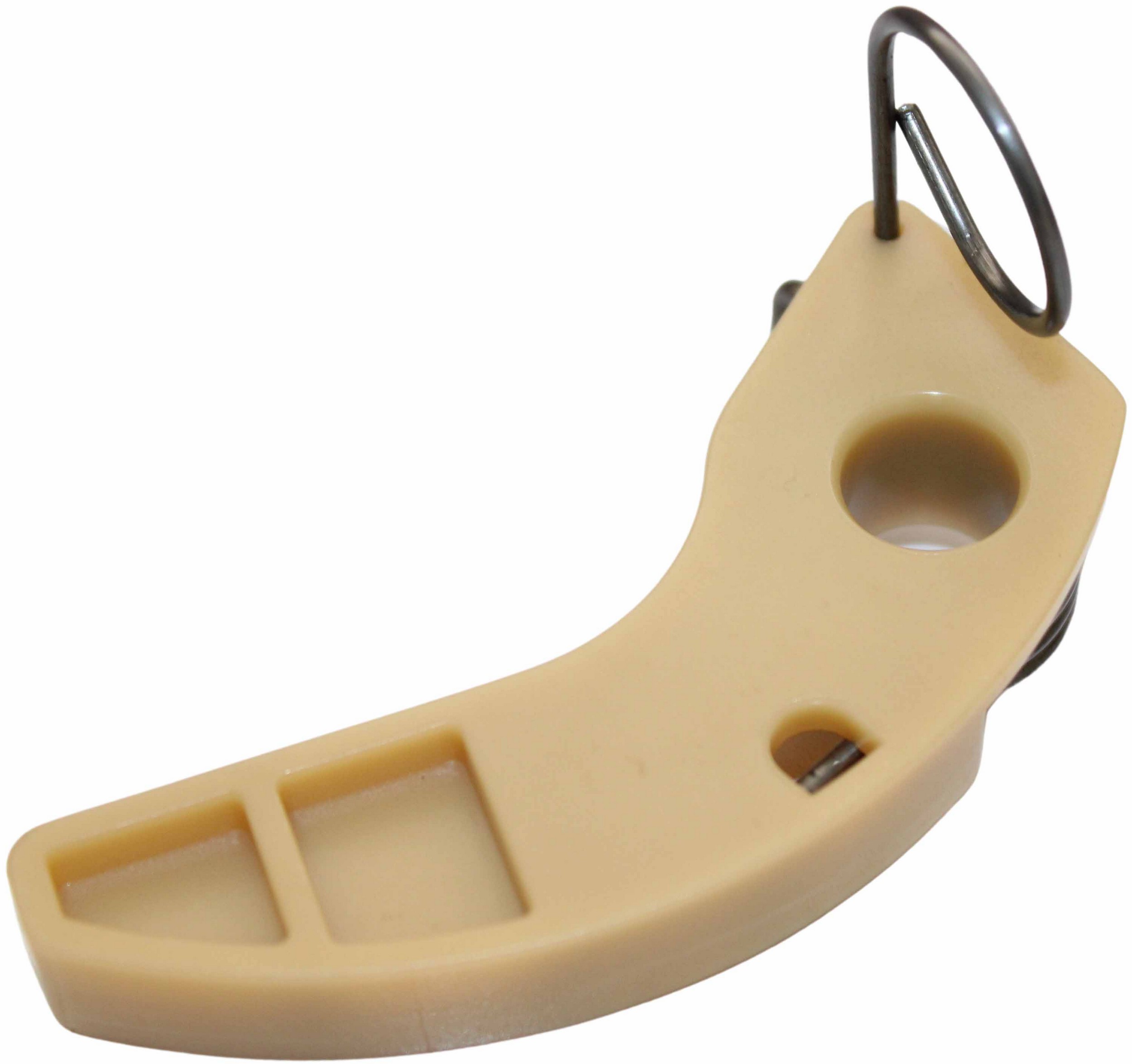 Engine Oil Pump Chain Tensioner