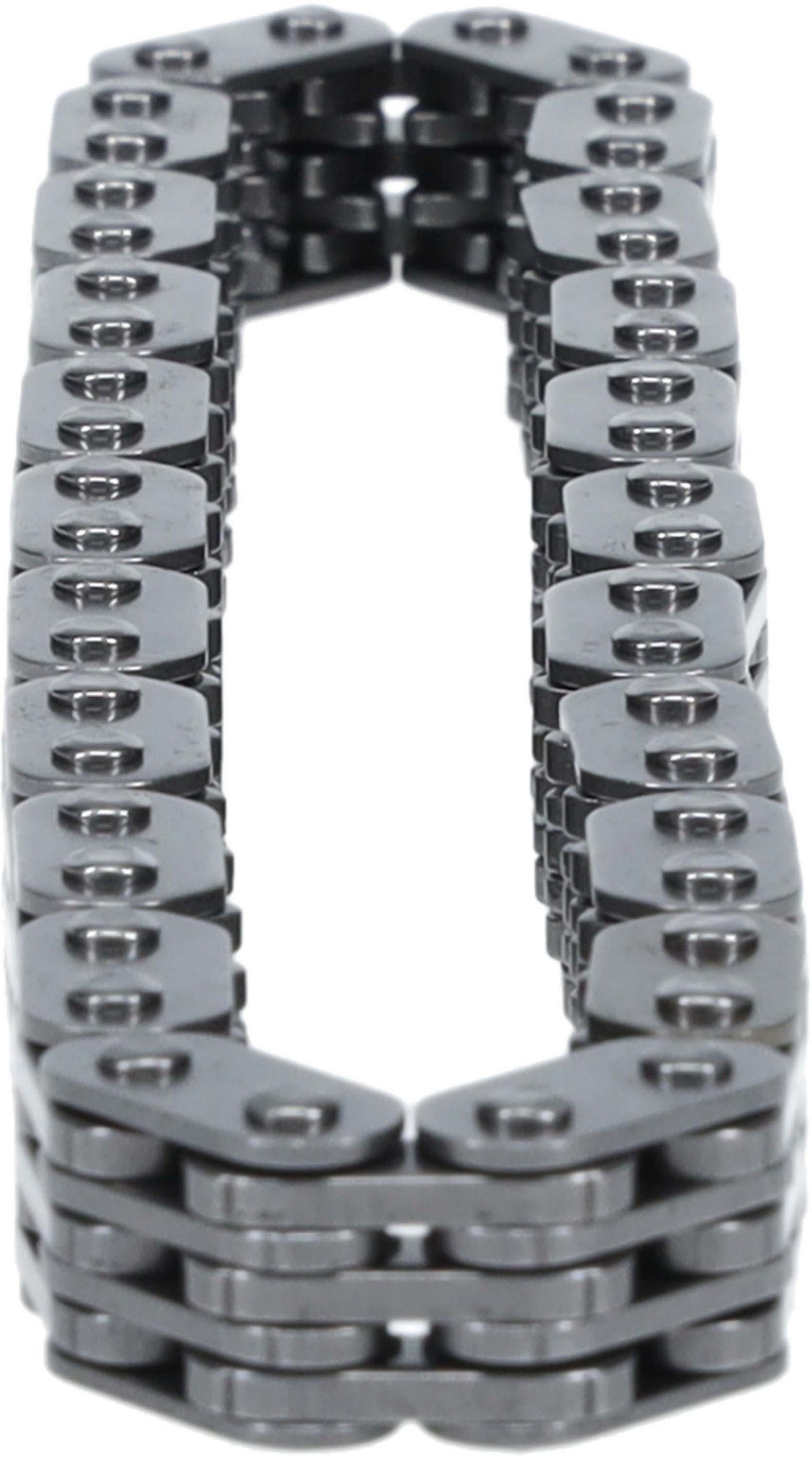 Engine Timing Chain