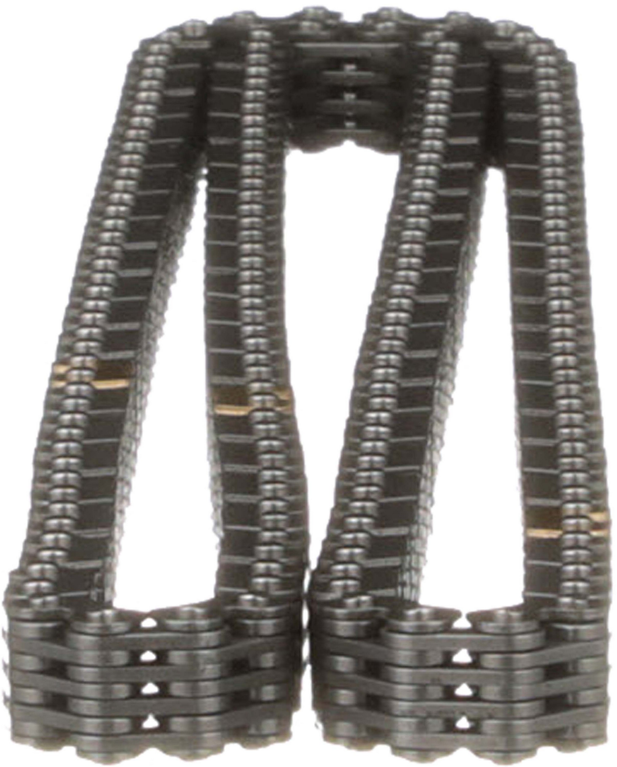 Engine Timing Chain