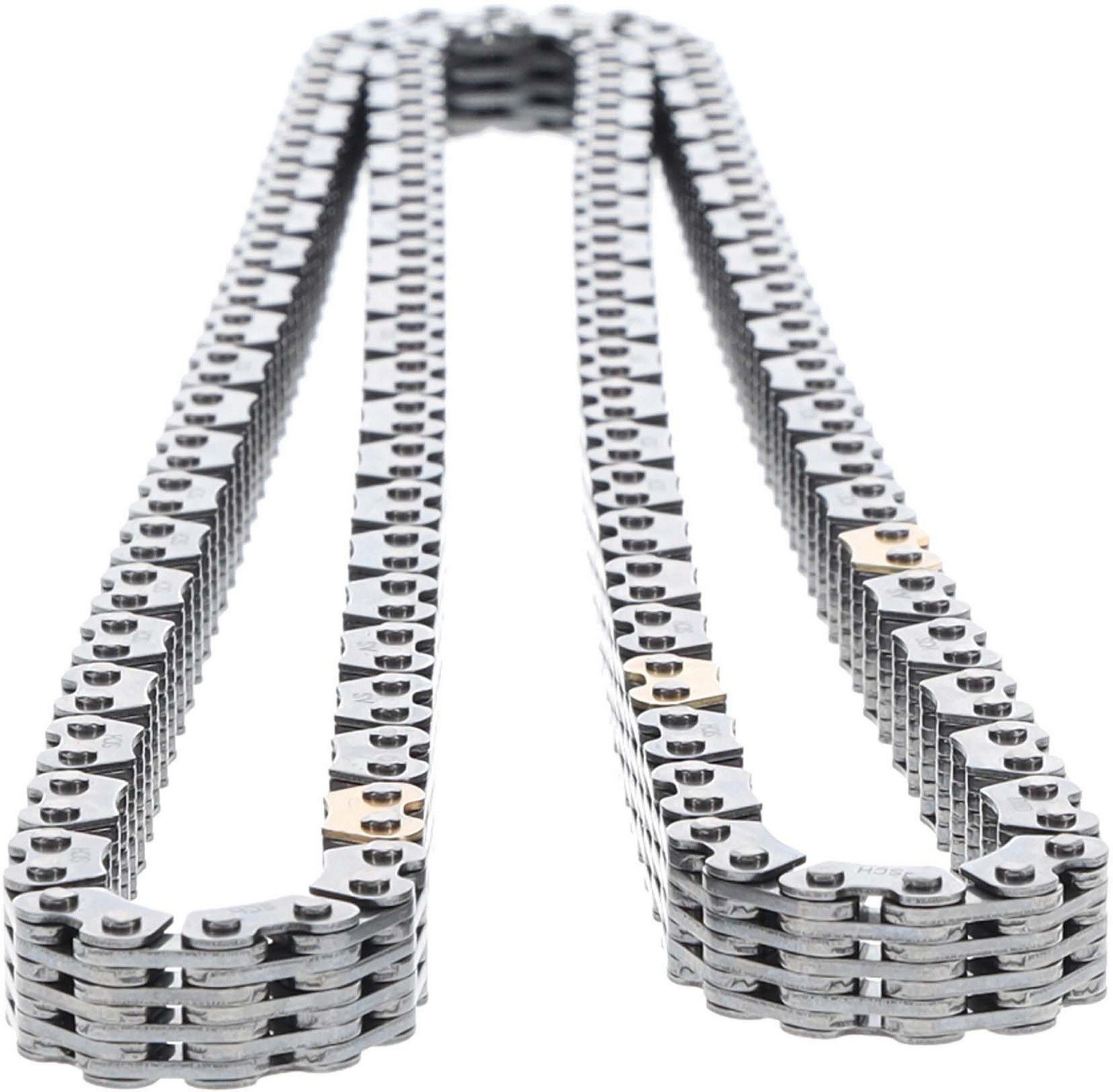 Engine Timing Chain