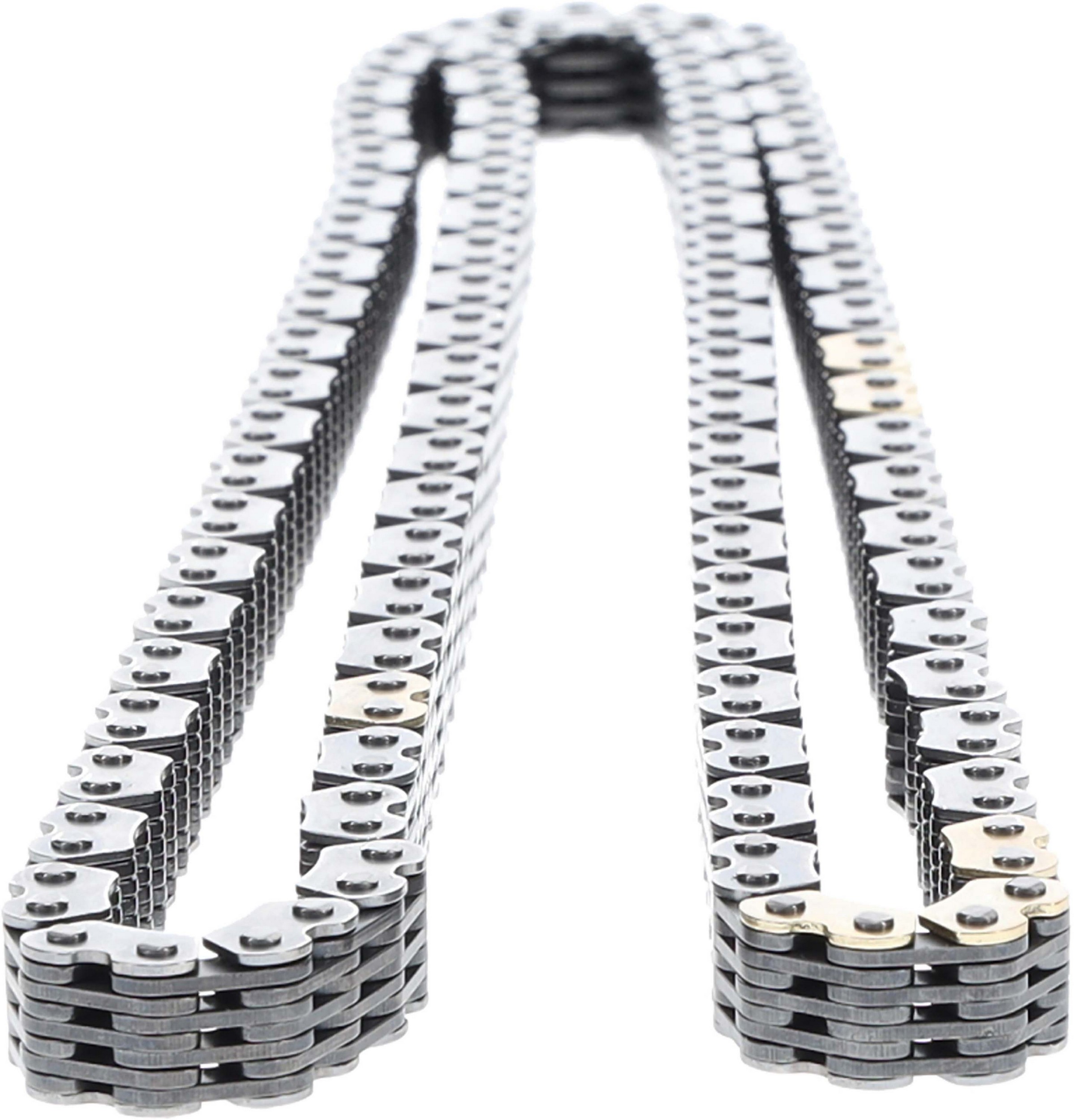 Engine Timing Chain