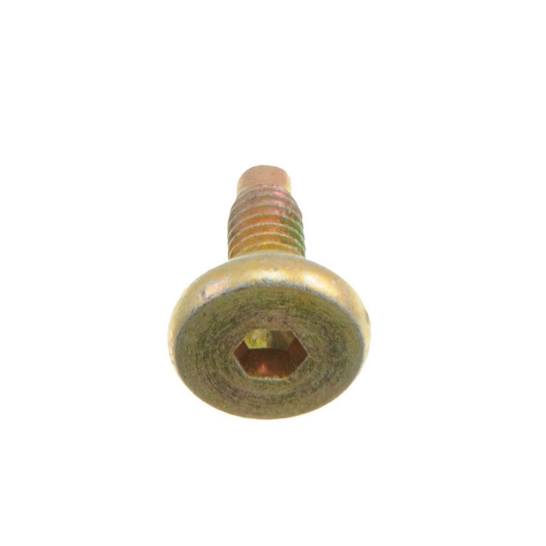 Disc Brake Caliper Bolt or Pin