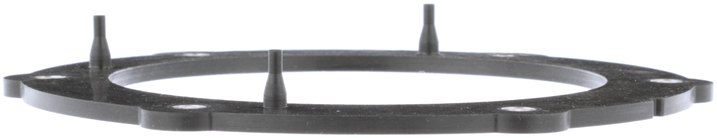 Fuel Pump Tank Seal