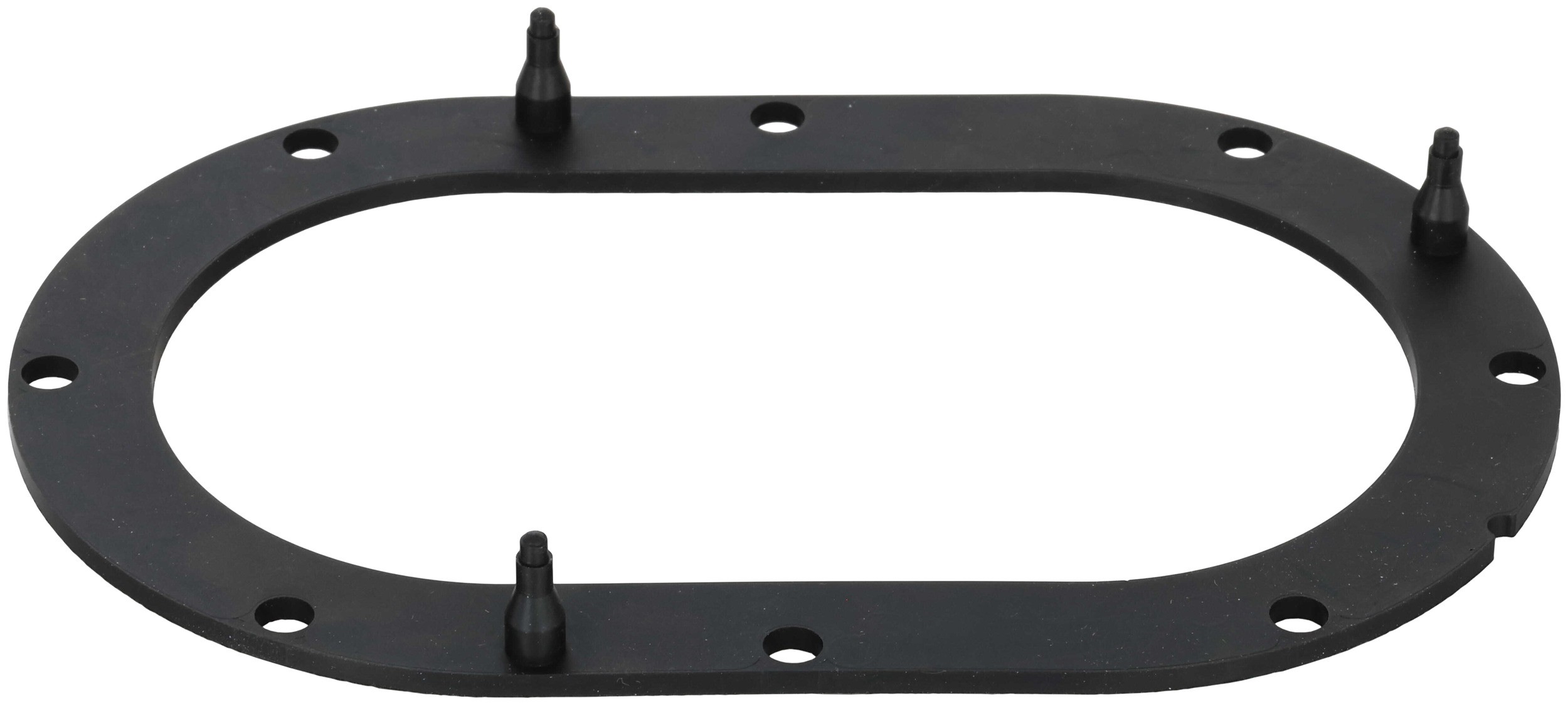 Fuel Pump Tank Seal