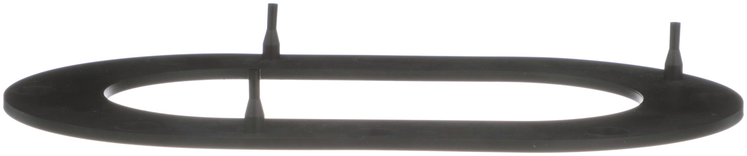 Fuel Pump Tank Seal