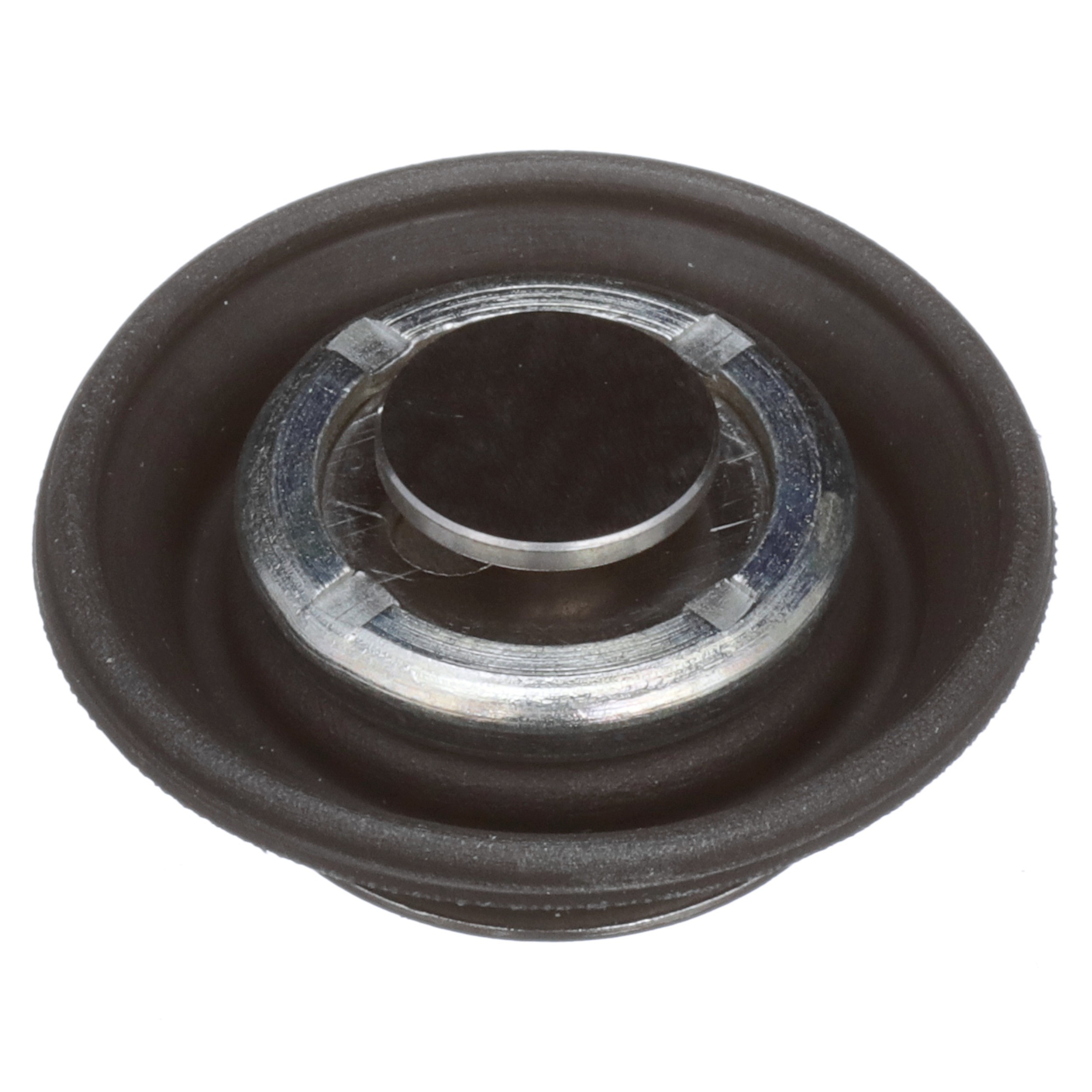 Fuel Injection Pressure Regulator