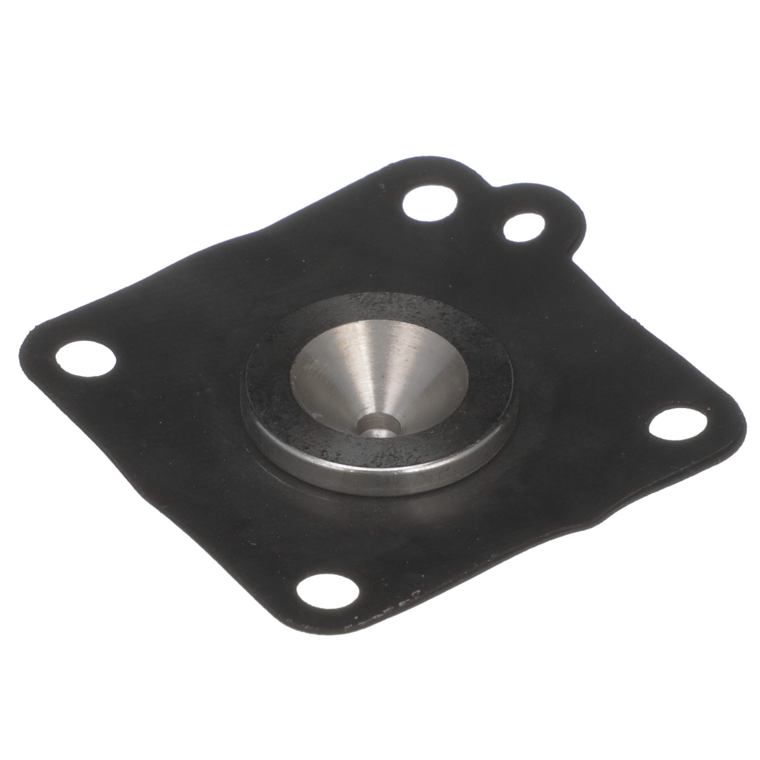 Fuel Injection Pressure Regulator
