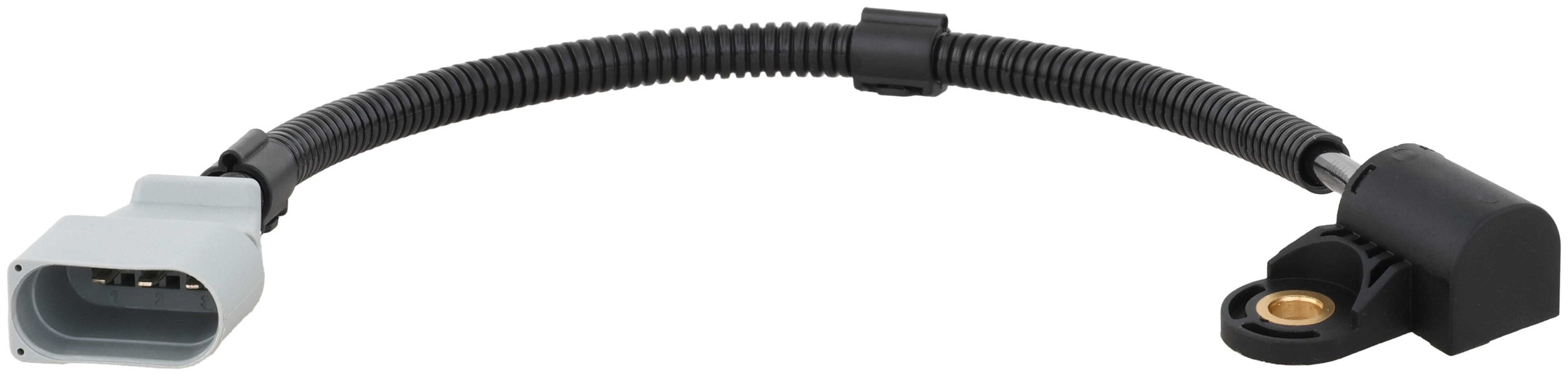 Engine Camshaft Position Sensor