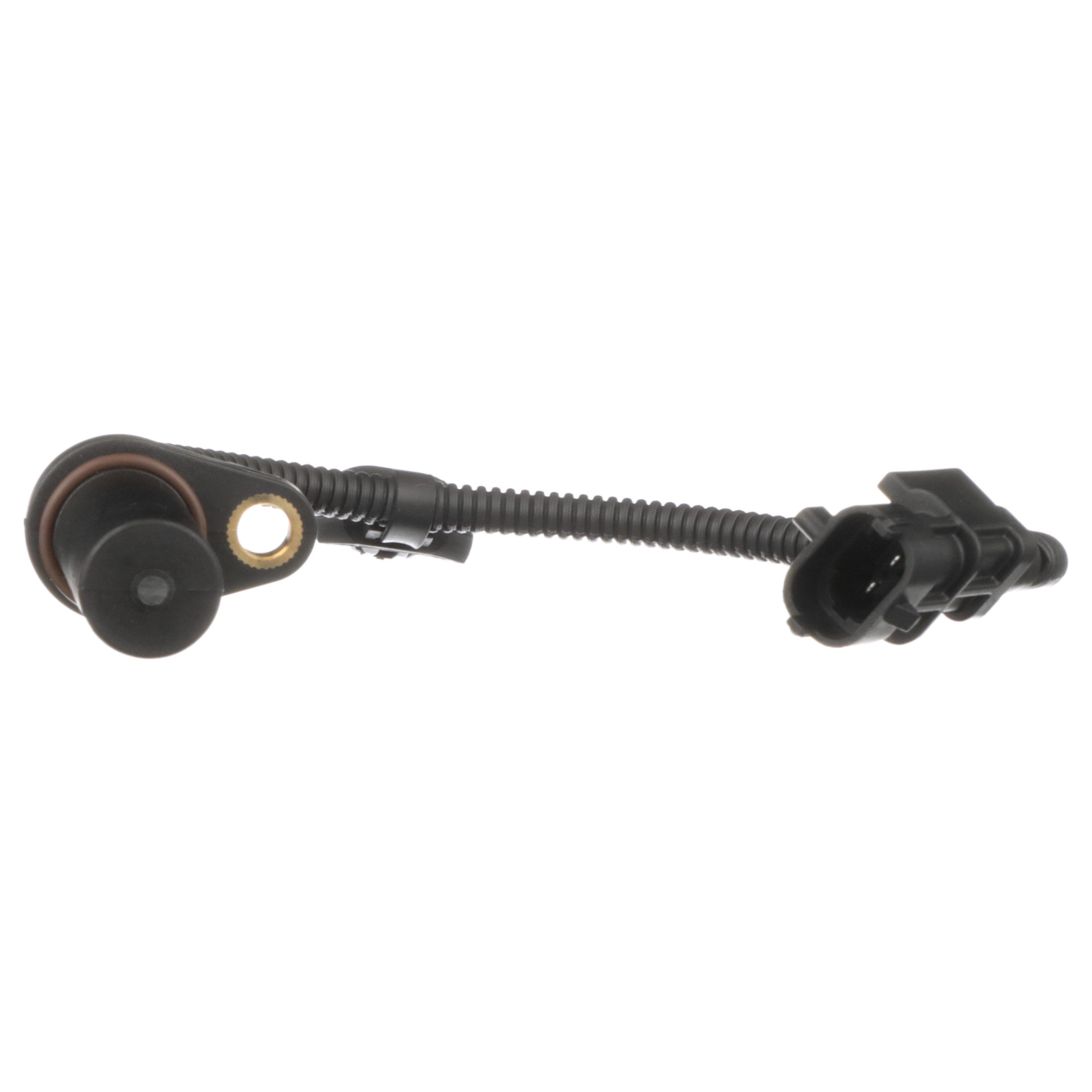 Engine Crankshaft Position Sensor